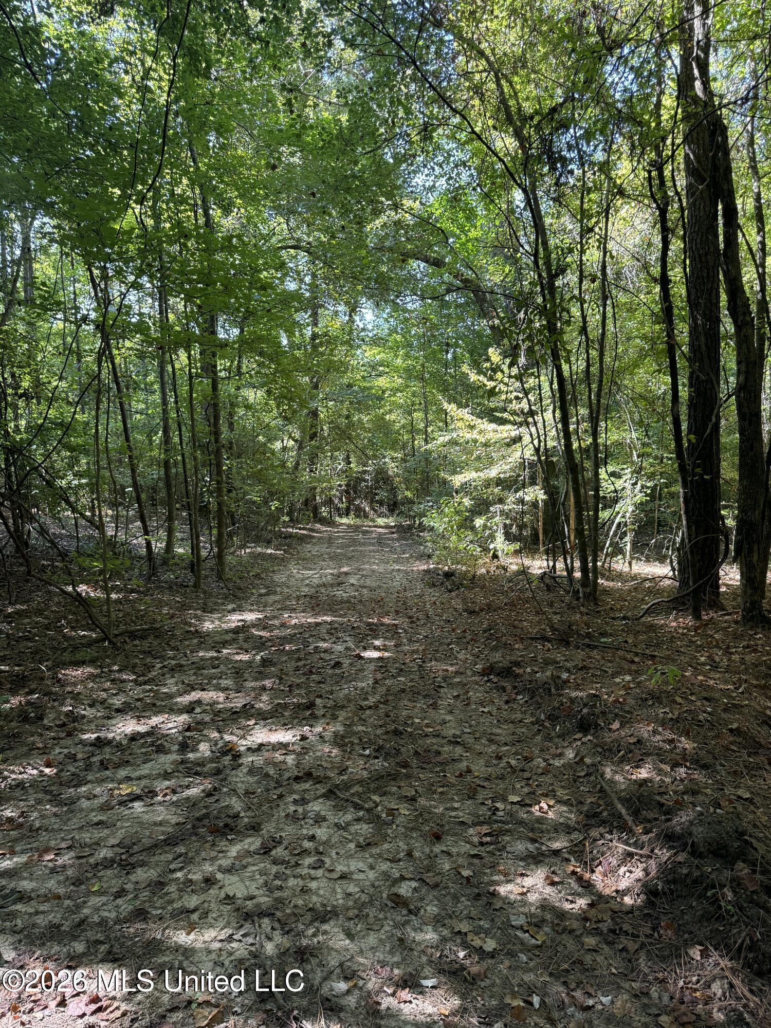 Ratliff Ferry Road Property Photo 6
