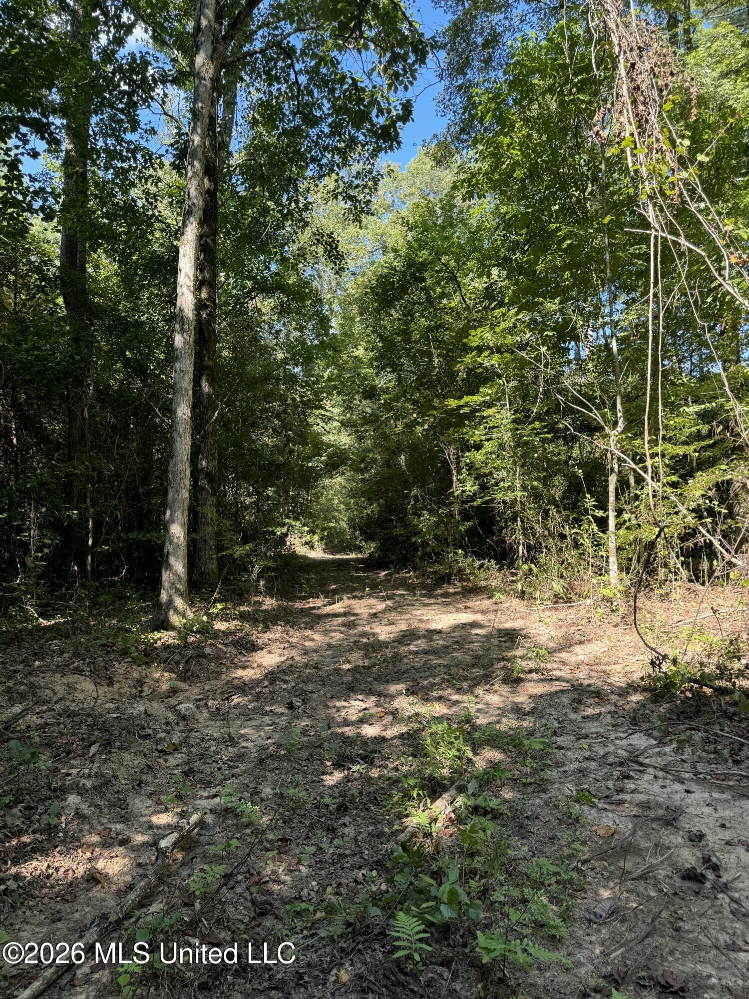 Ratliff Ferry Road Property Photo 7
