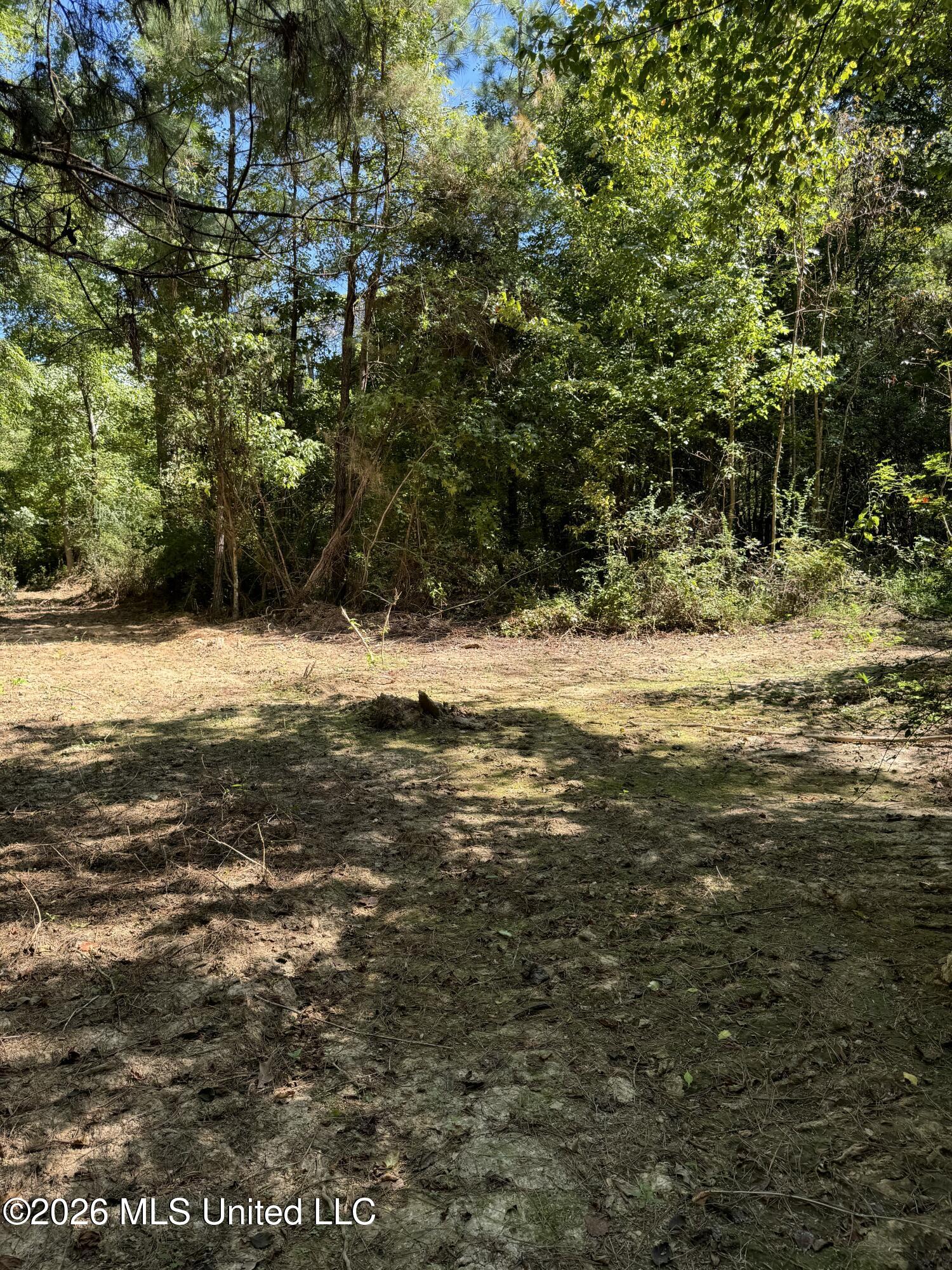 Ratliff Ferry Road Property Photo 8