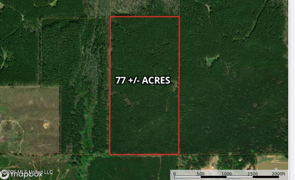Ratliff Ferry Road Property Photo 1