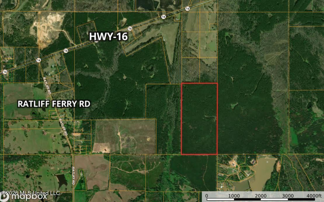 Ratliff Ferry Road Property Photo 2