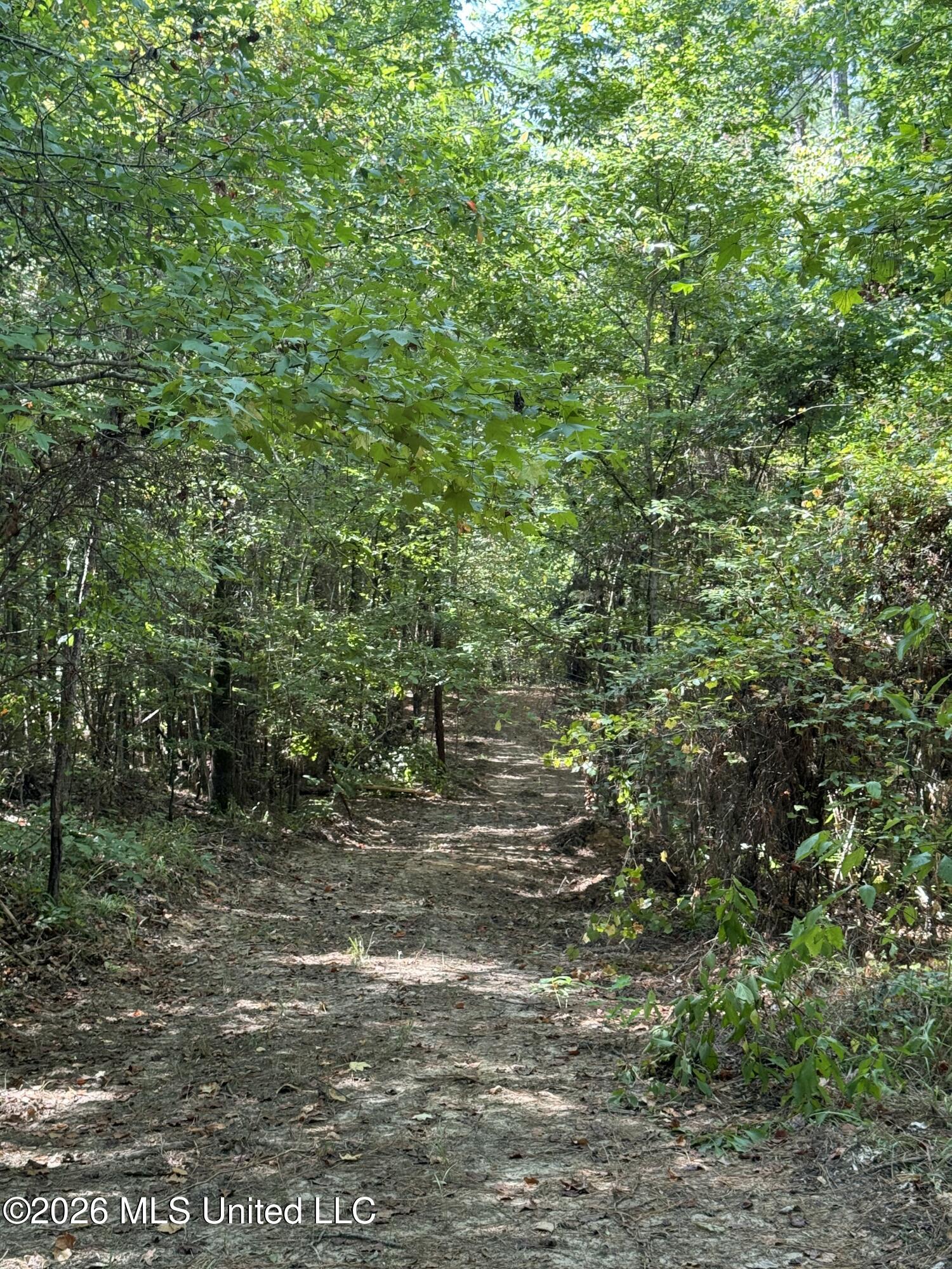 Ratliff Ferry Road Property Photo 3