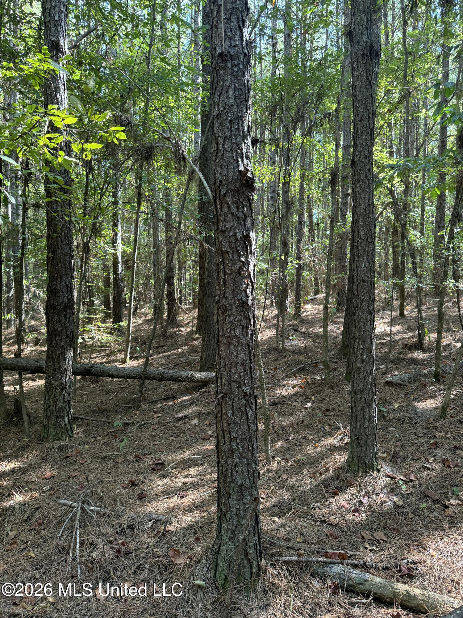Ratliff Ferry Road Property Photo 5