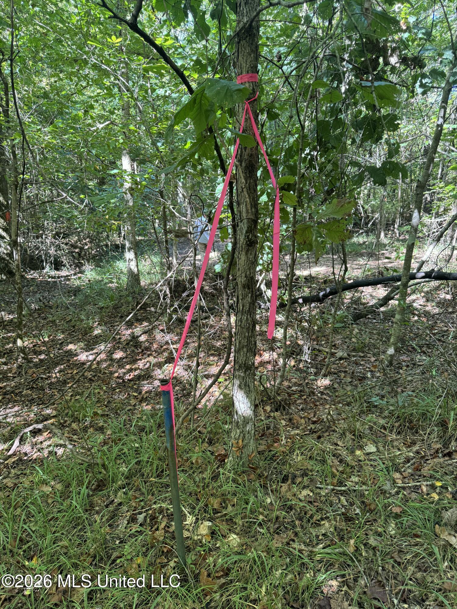 Ratliff Ferry Road Property Photo 6
