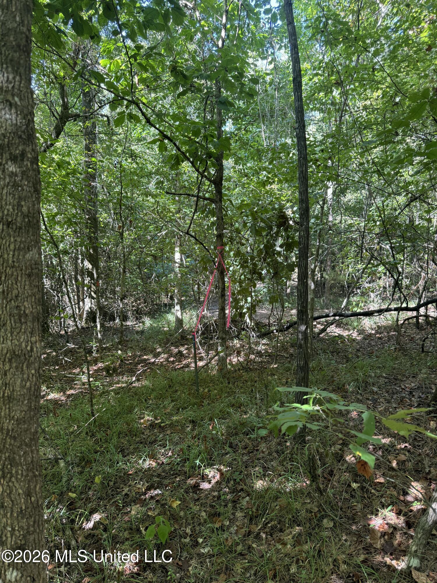 Ratliff Ferry Road Property Photo 7