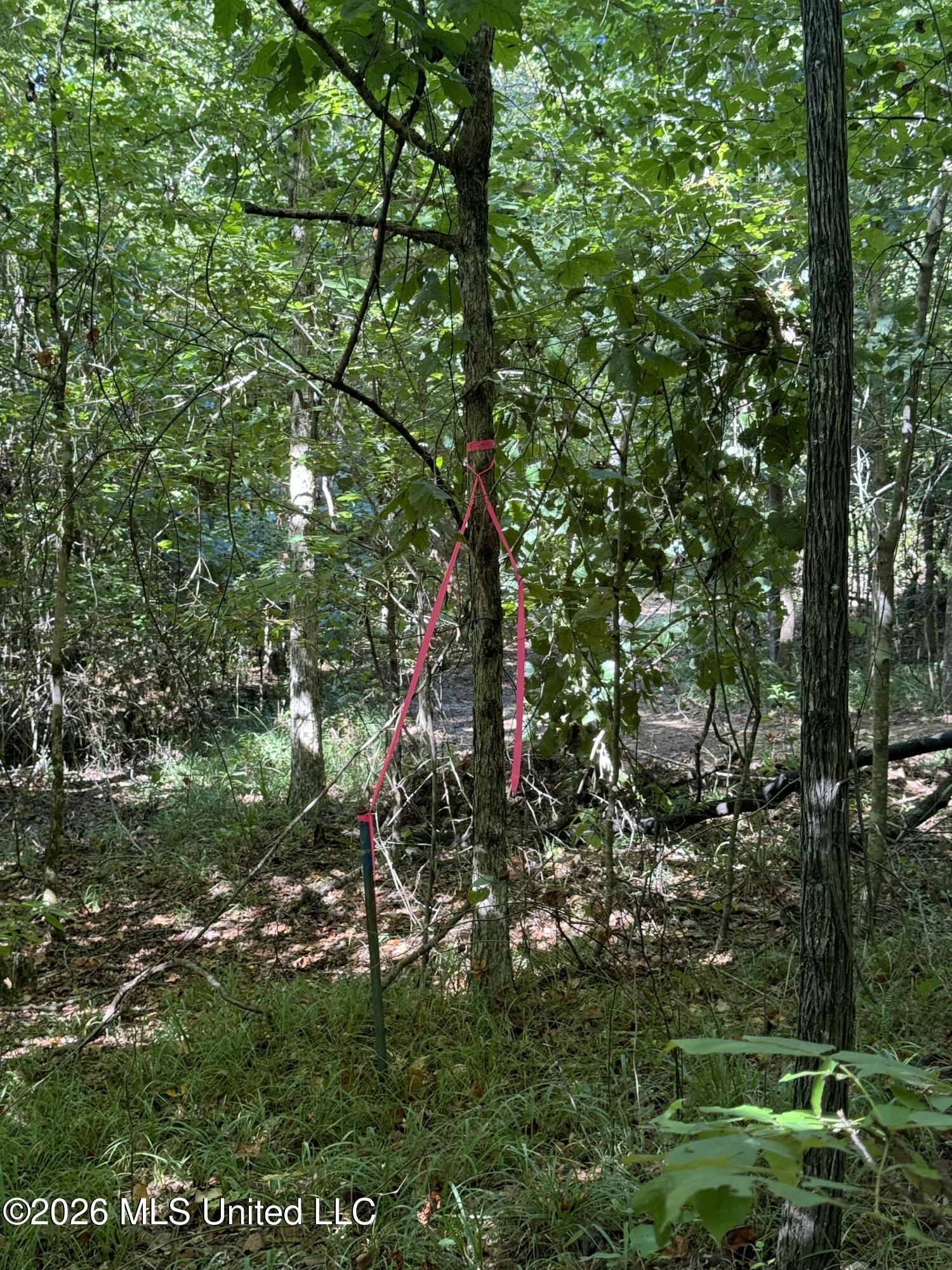 Ratliff Ferry Road Property Photo 8