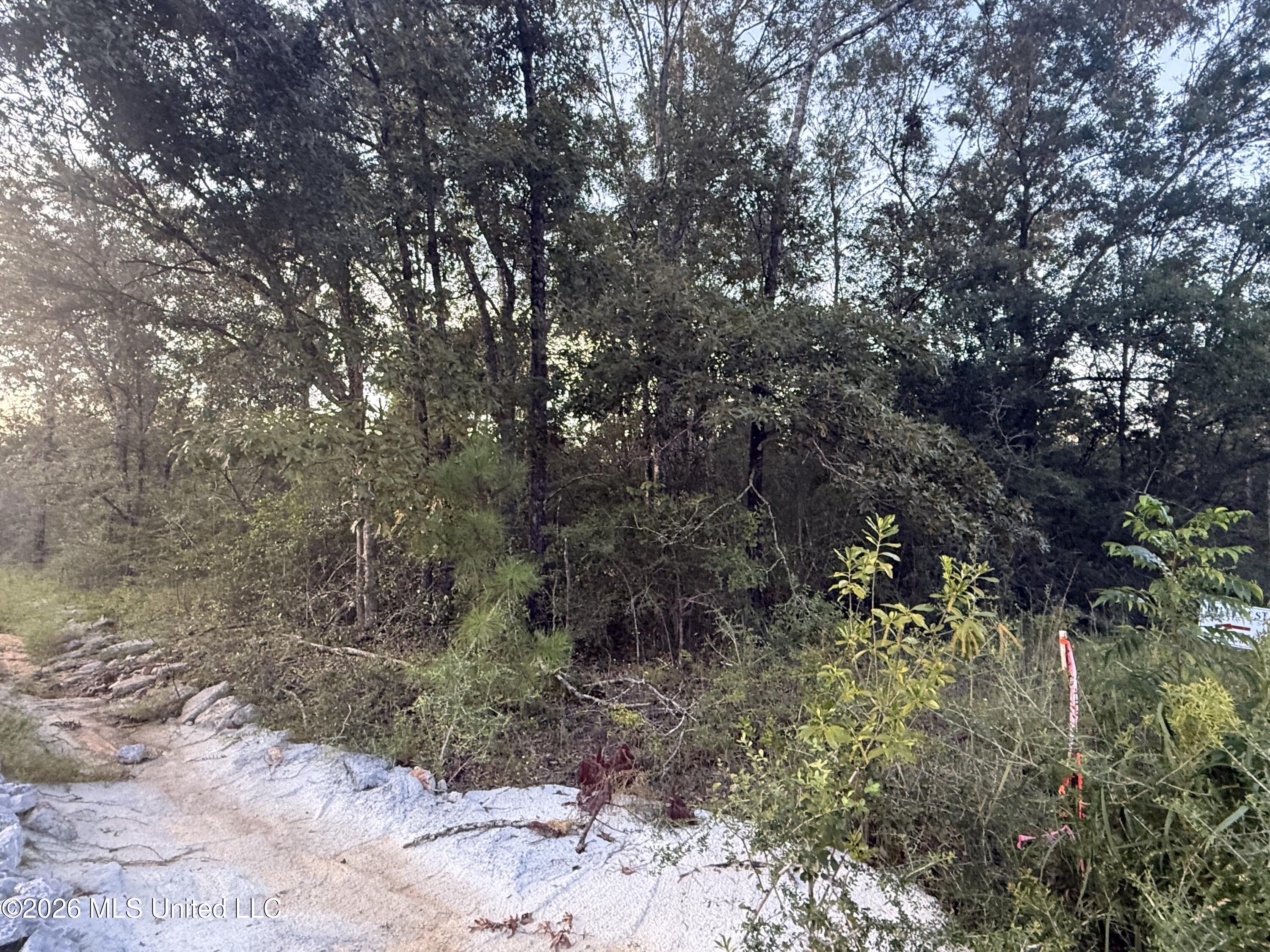 Robin Street Property Photo 16