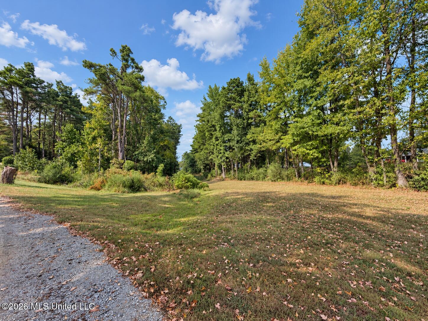 4350 Thyatira Tyro Property Photo 18