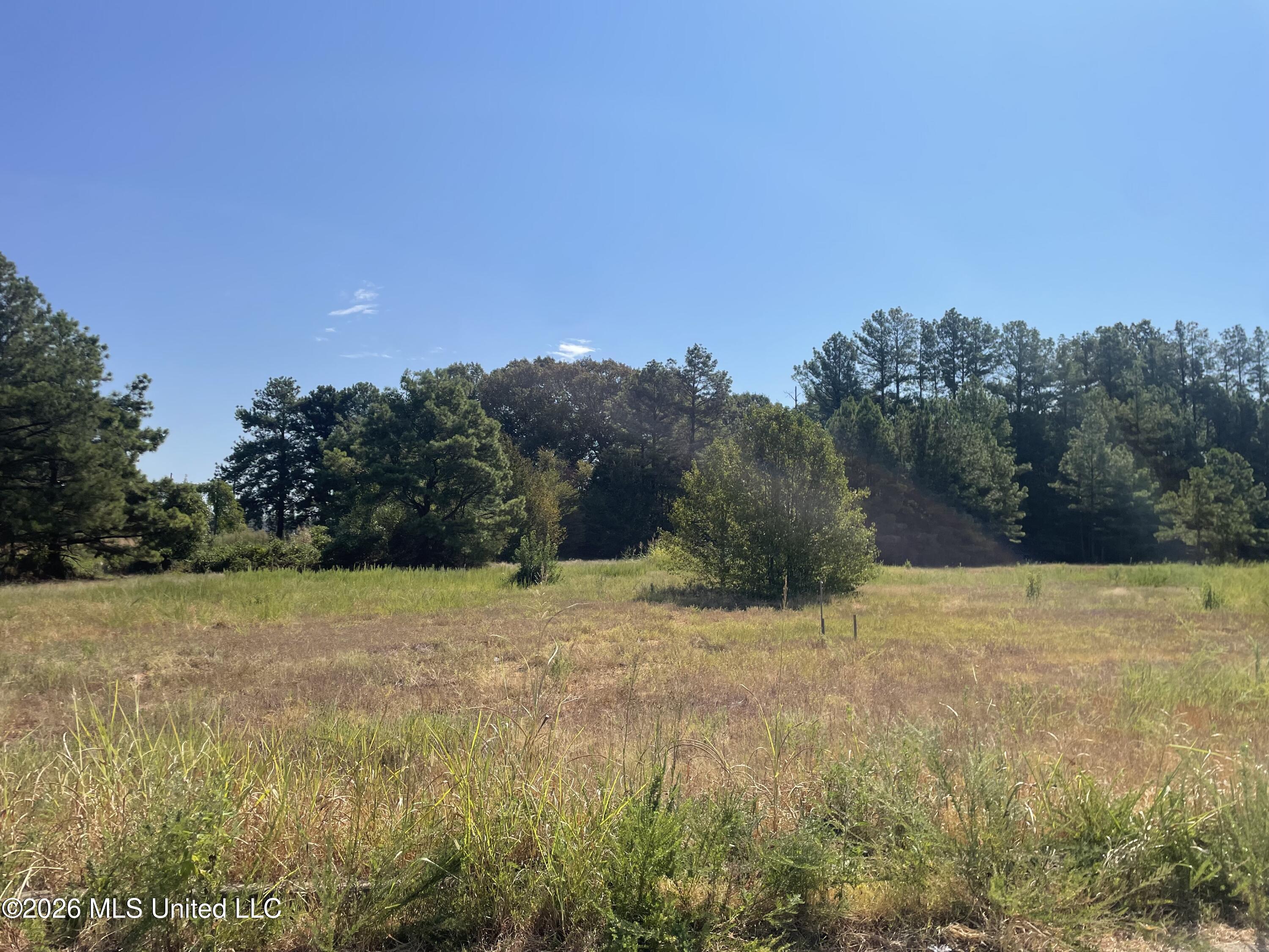 577 Starlanding Property Photo 1