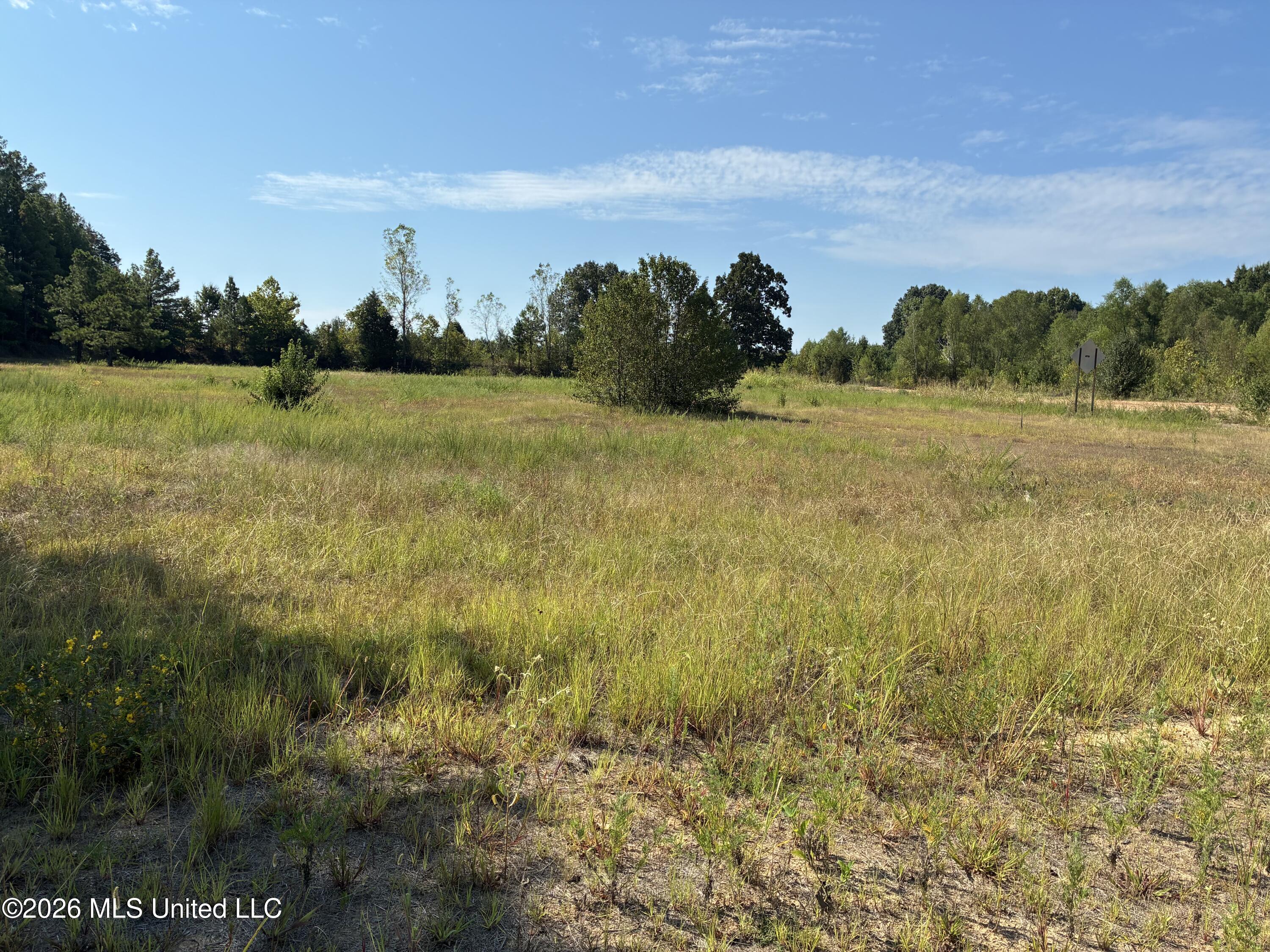 577 Starlanding Property Photo 3