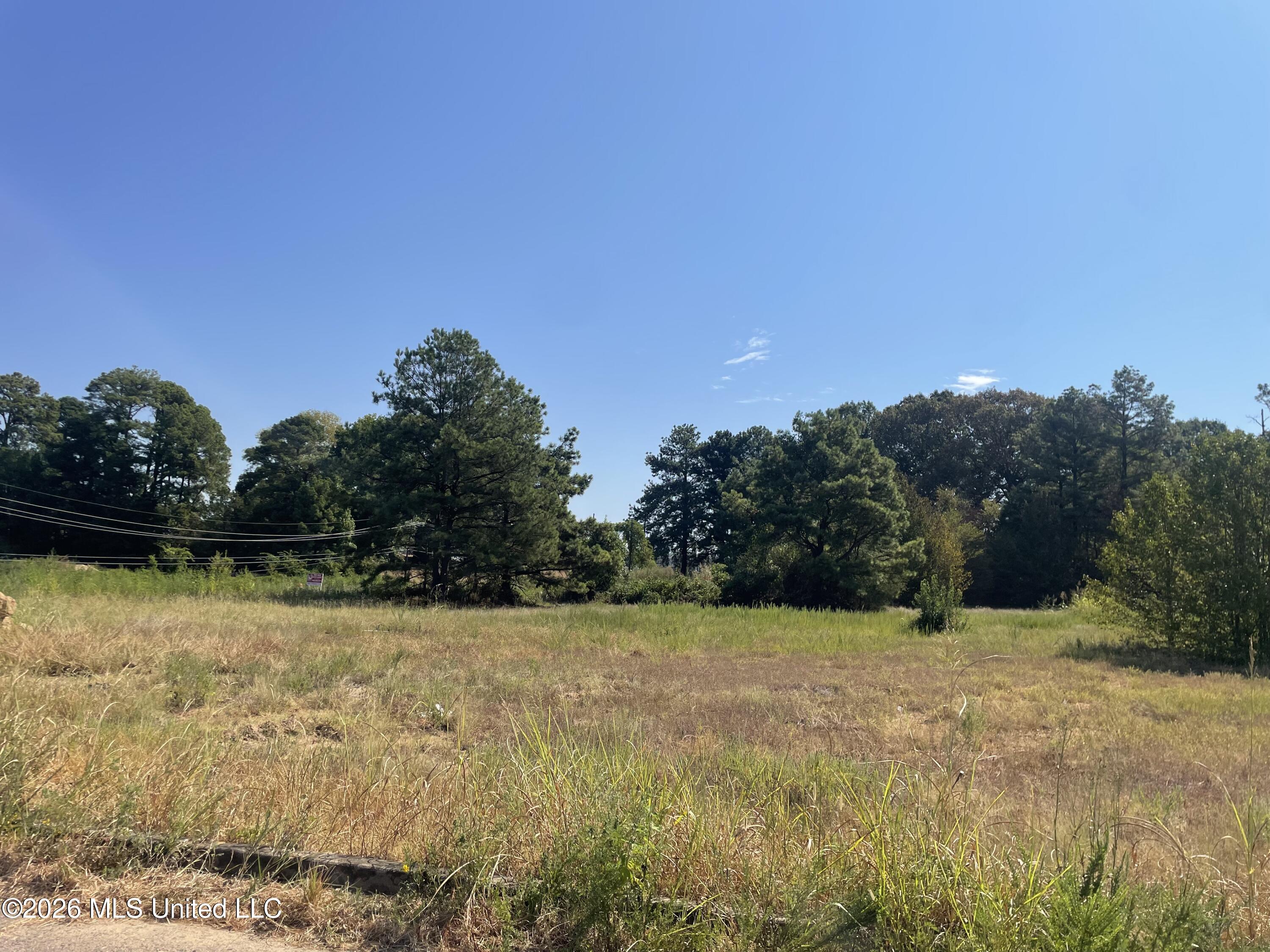 577 Starlanding Property Photo 4