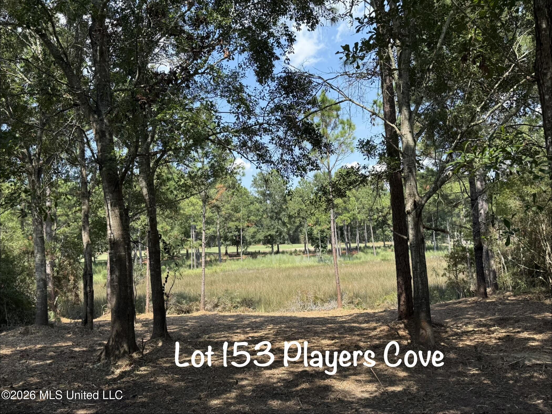 Lot 153 Players Cove Property Photo 1