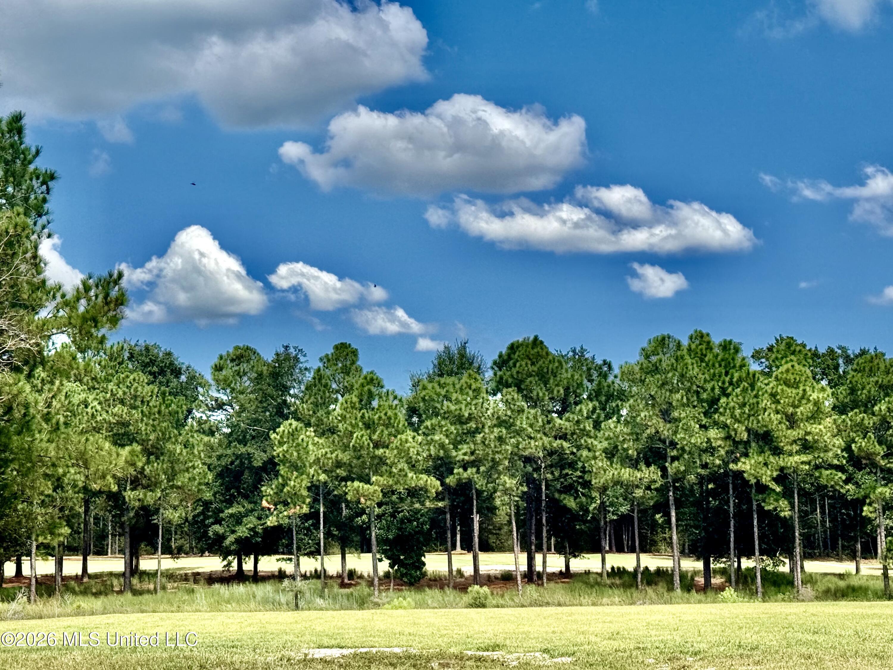 Lot 153 Players Cove Property Photo 2