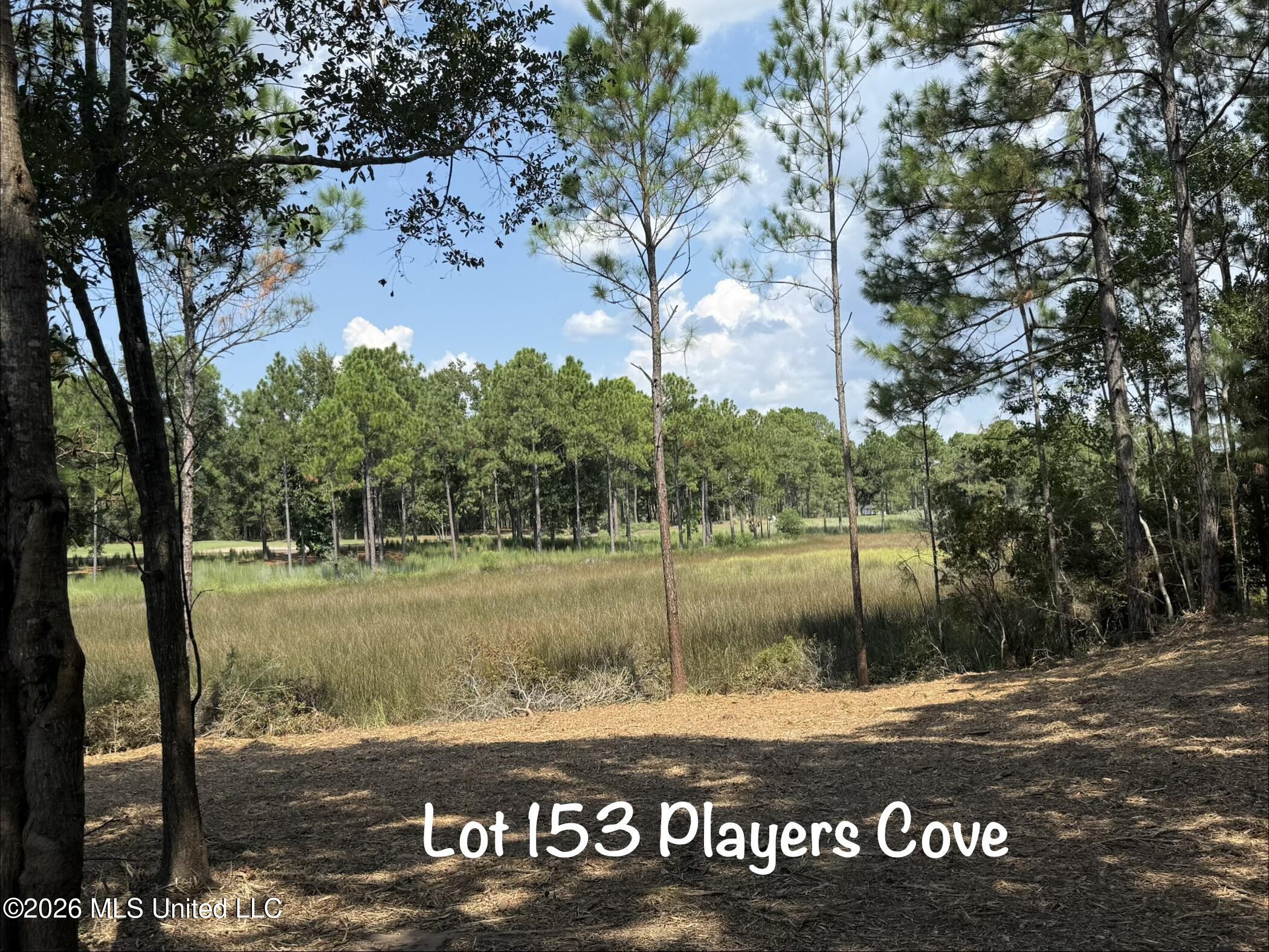 Lot 153 Players Cove Property Photo 10