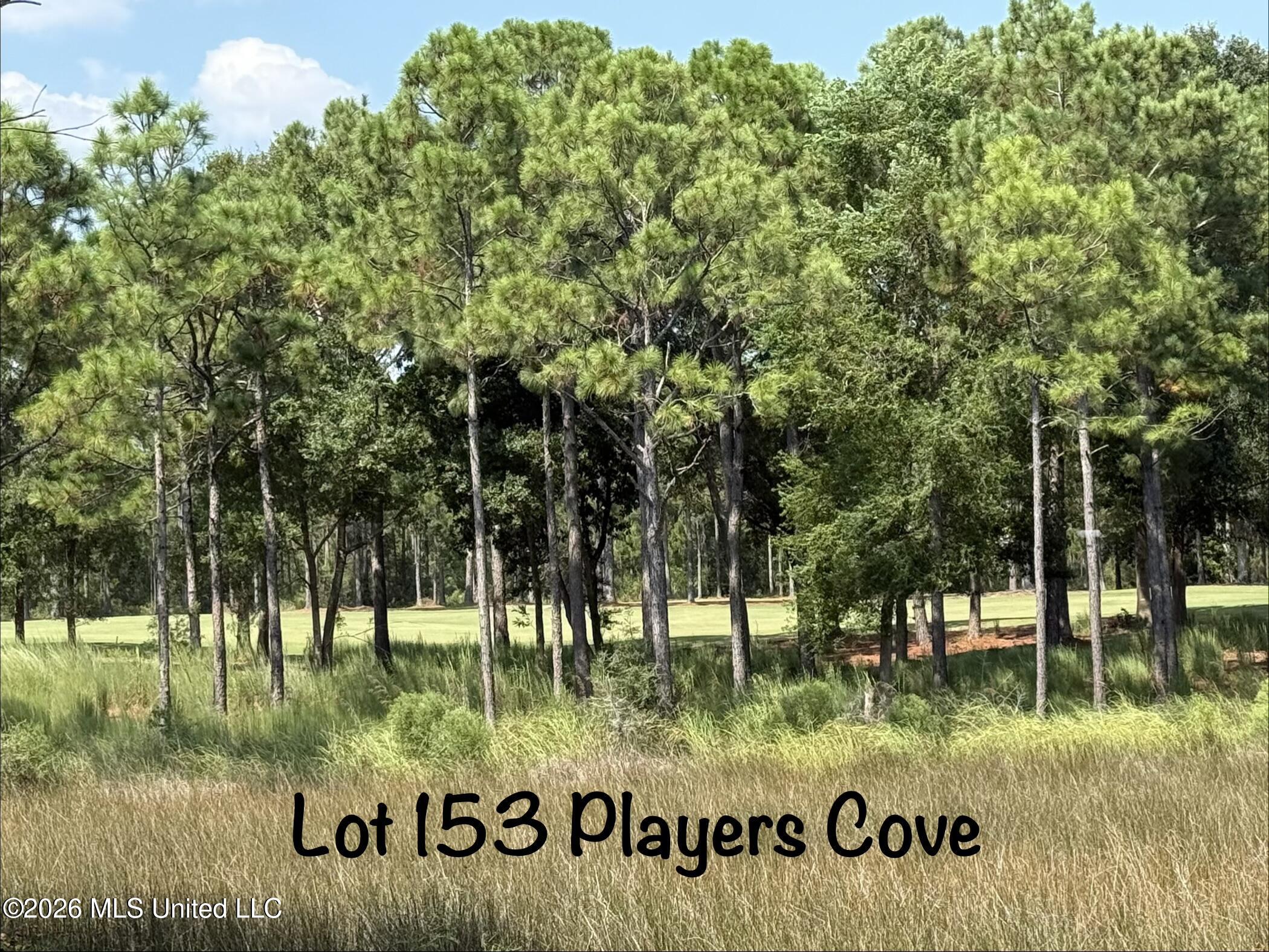 Lot 153 Players Cove Property Photo 12