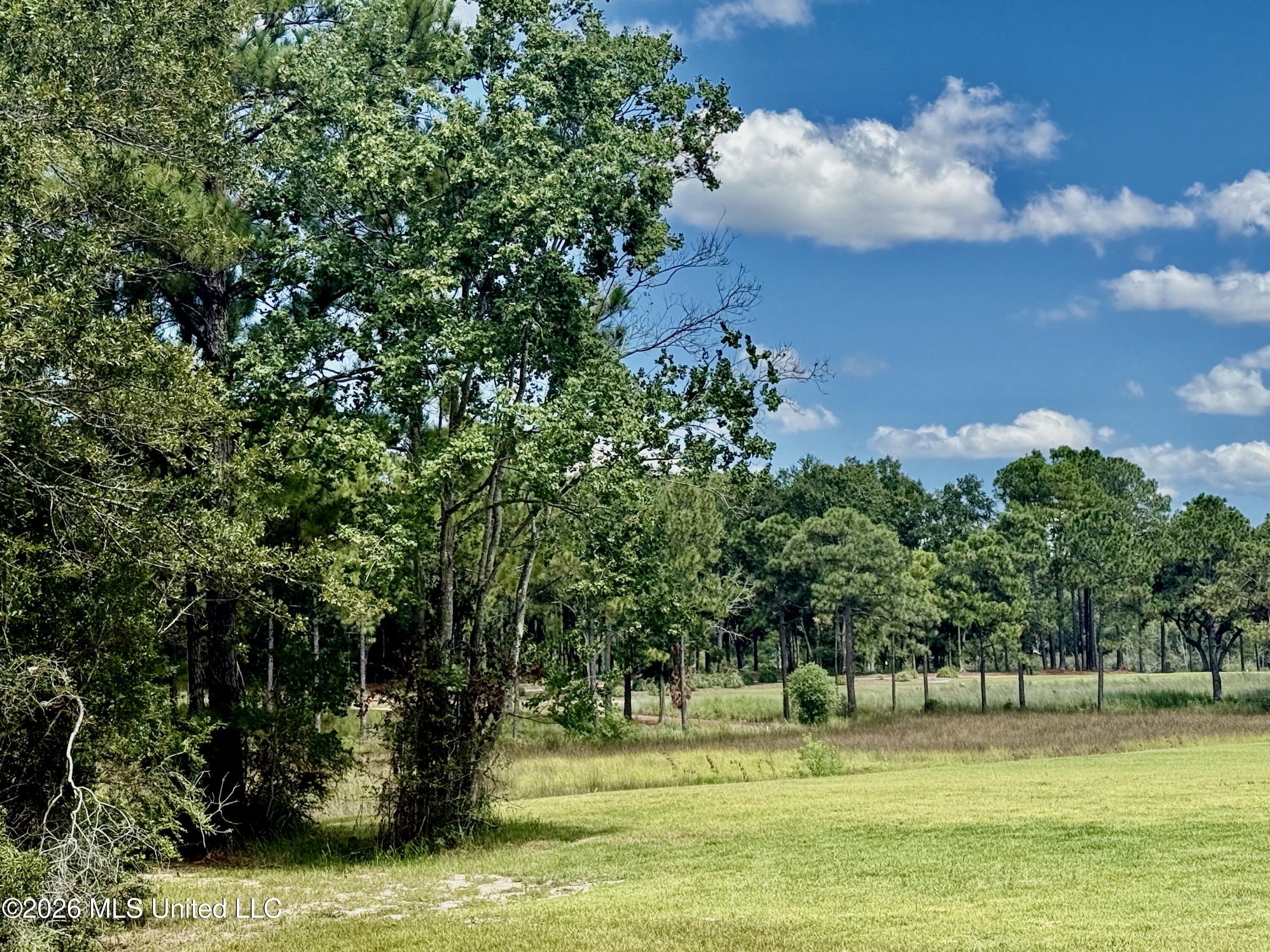 Lot 153 Players Cove Property Photo 18