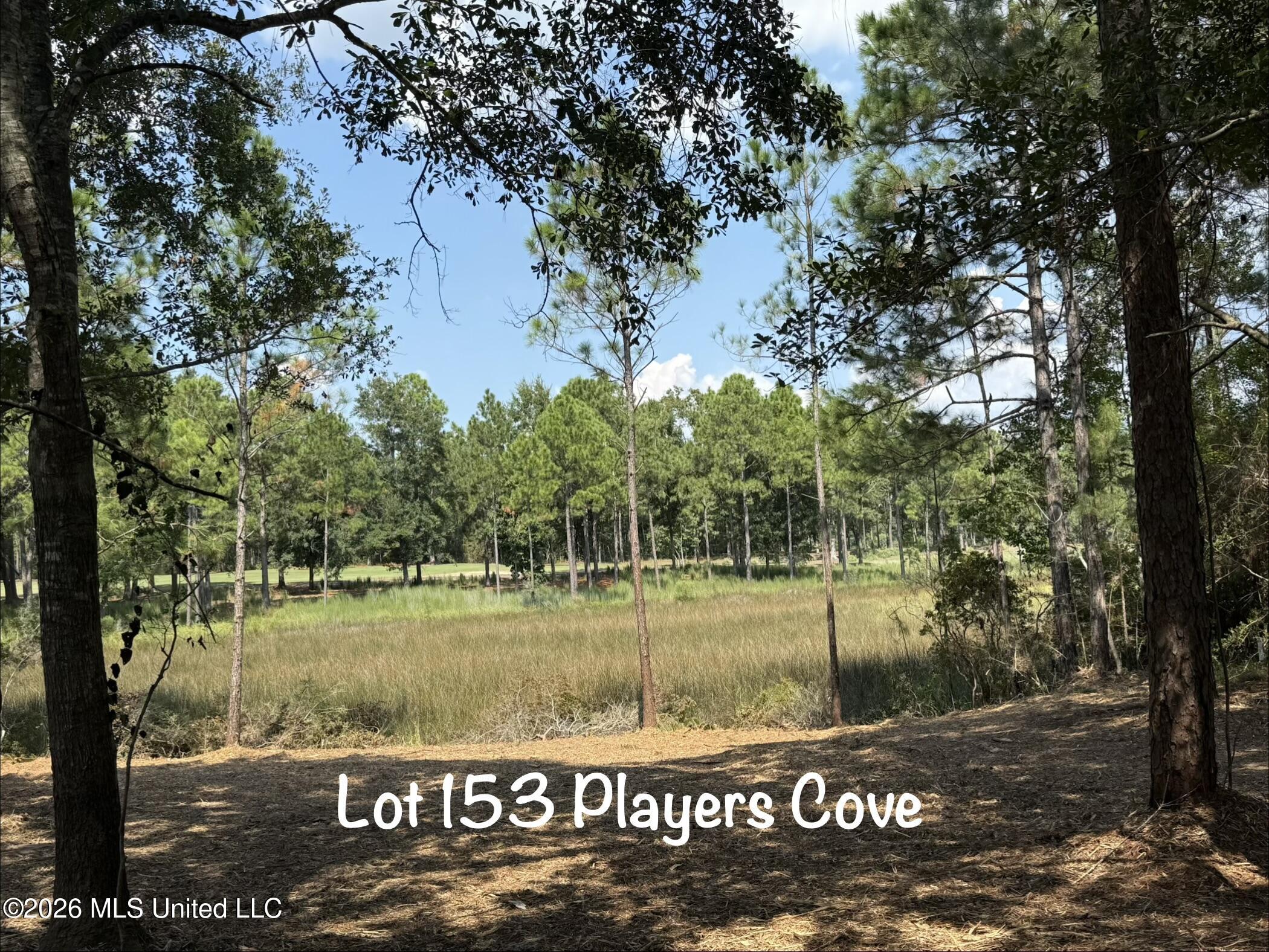 Lot 153 Players Cove Property Photo 24