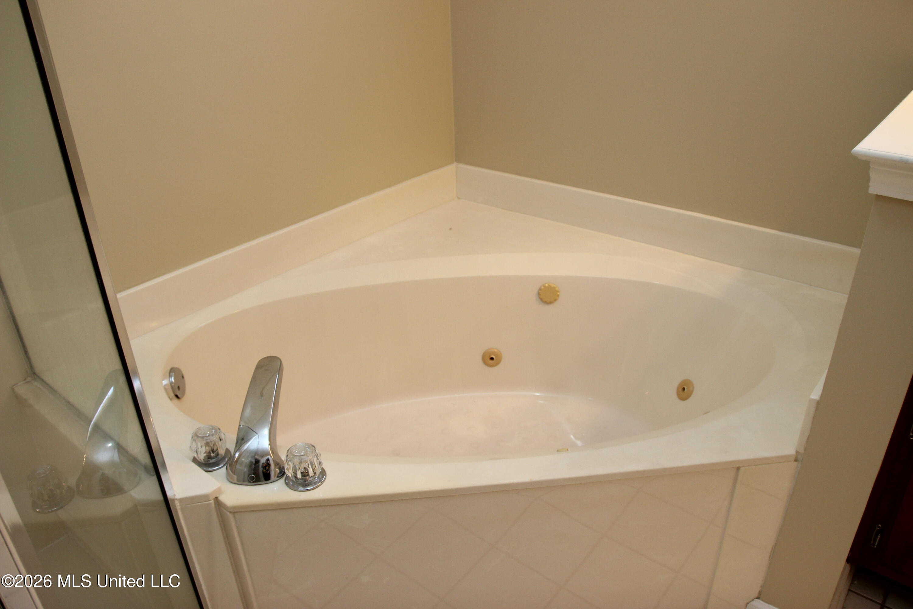 910 Scotch Pine Cove Property Photo 22