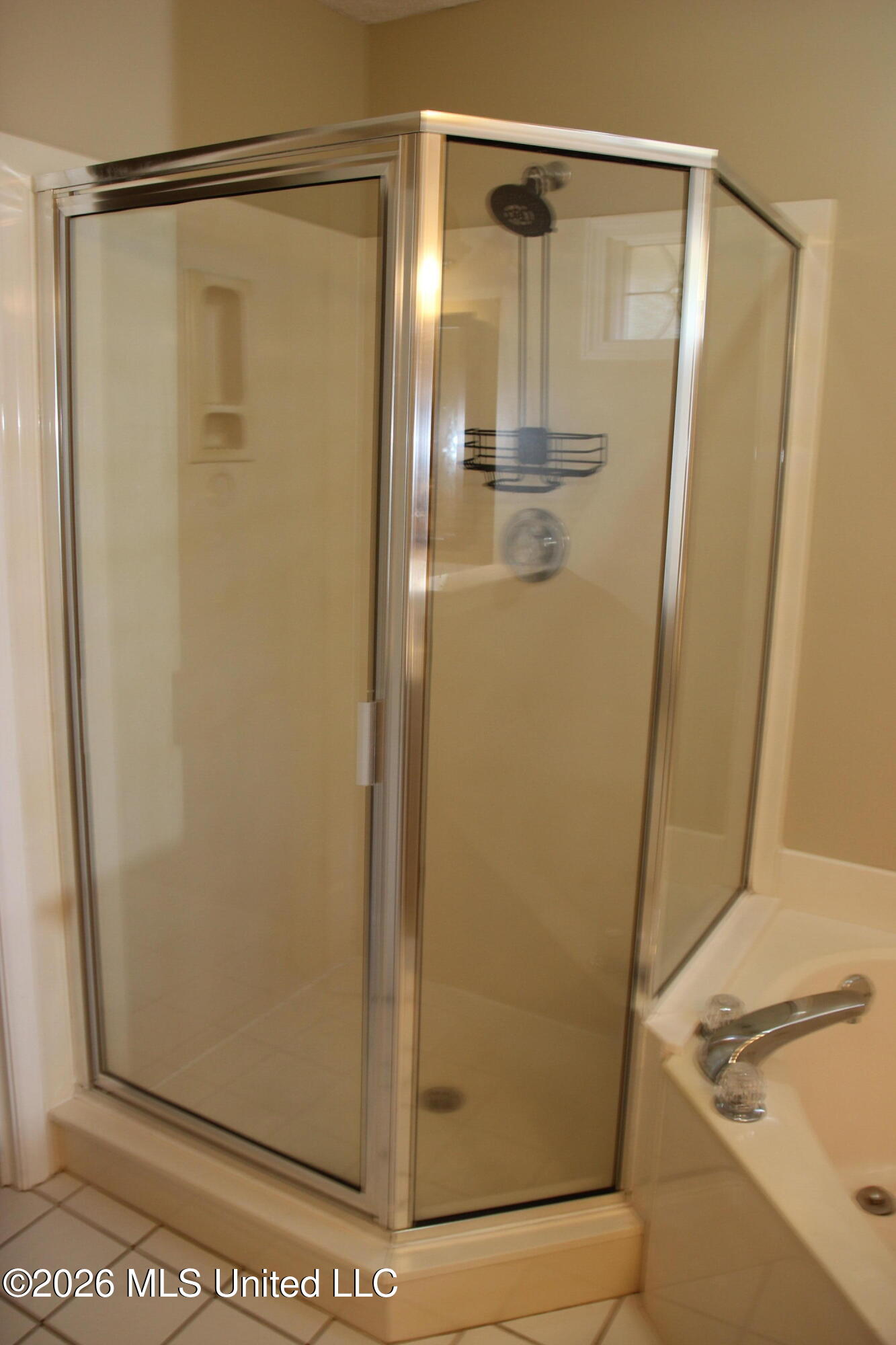 910 Scotch Pine Cove Property Photo 24