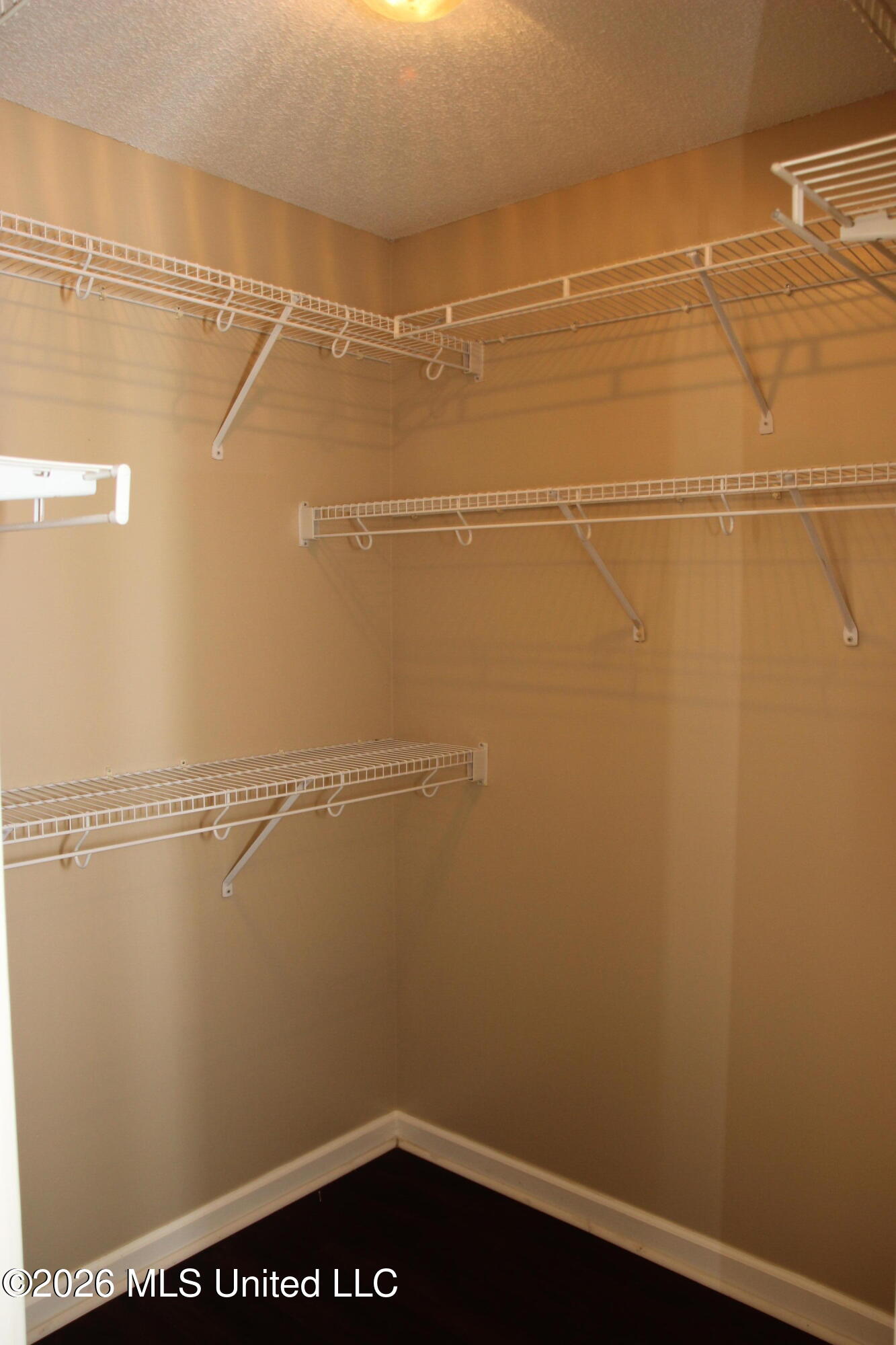 910 Scotch Pine Cove Property Photo 25