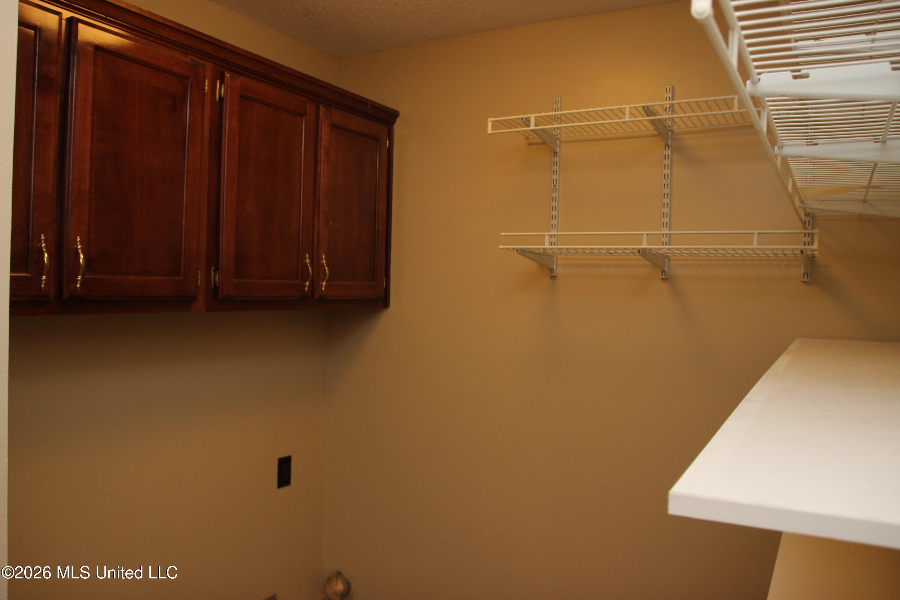 910 Scotch Pine Cove Property Photo 26