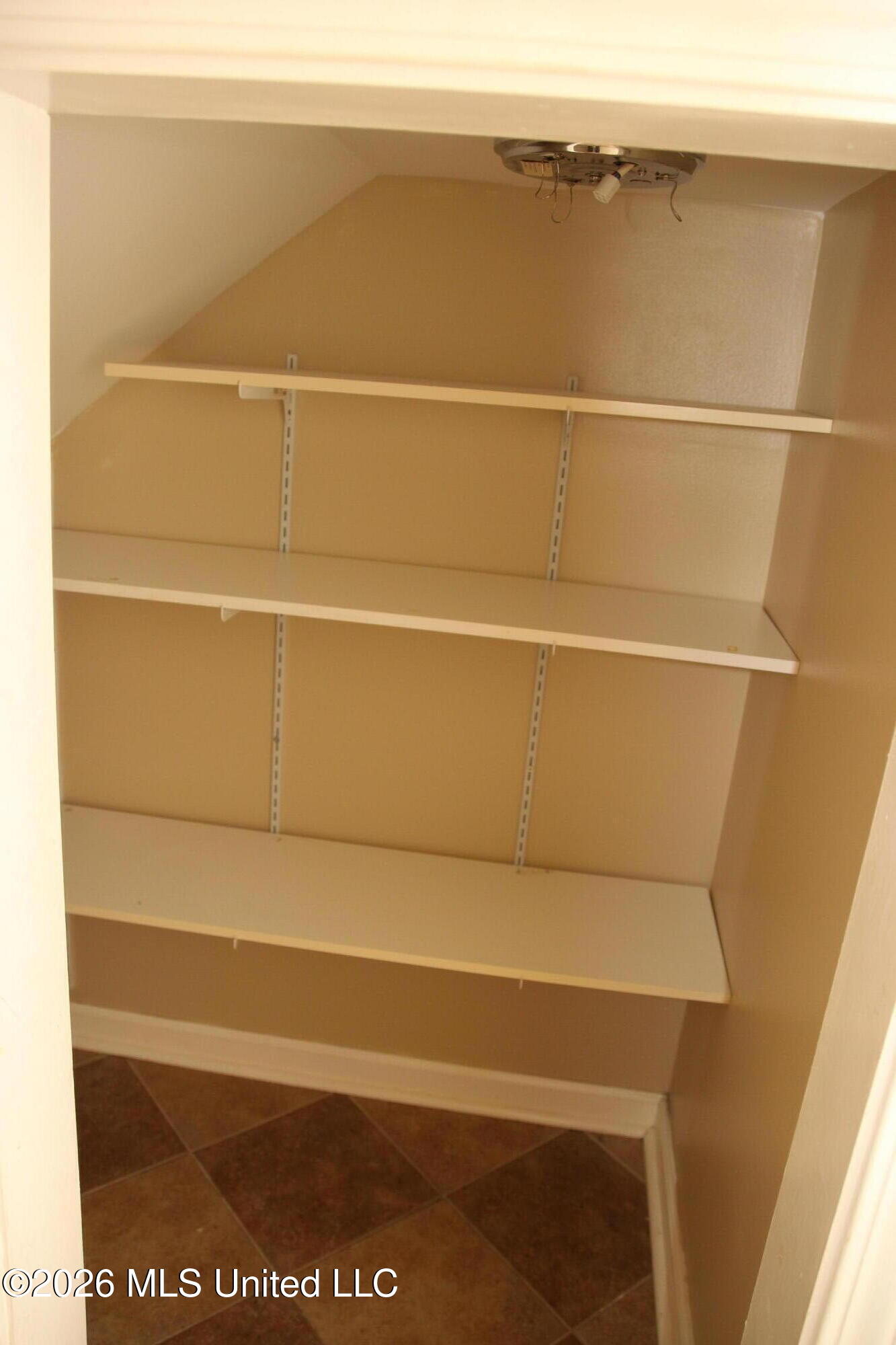 910 Scotch Pine Cove Property Photo 27