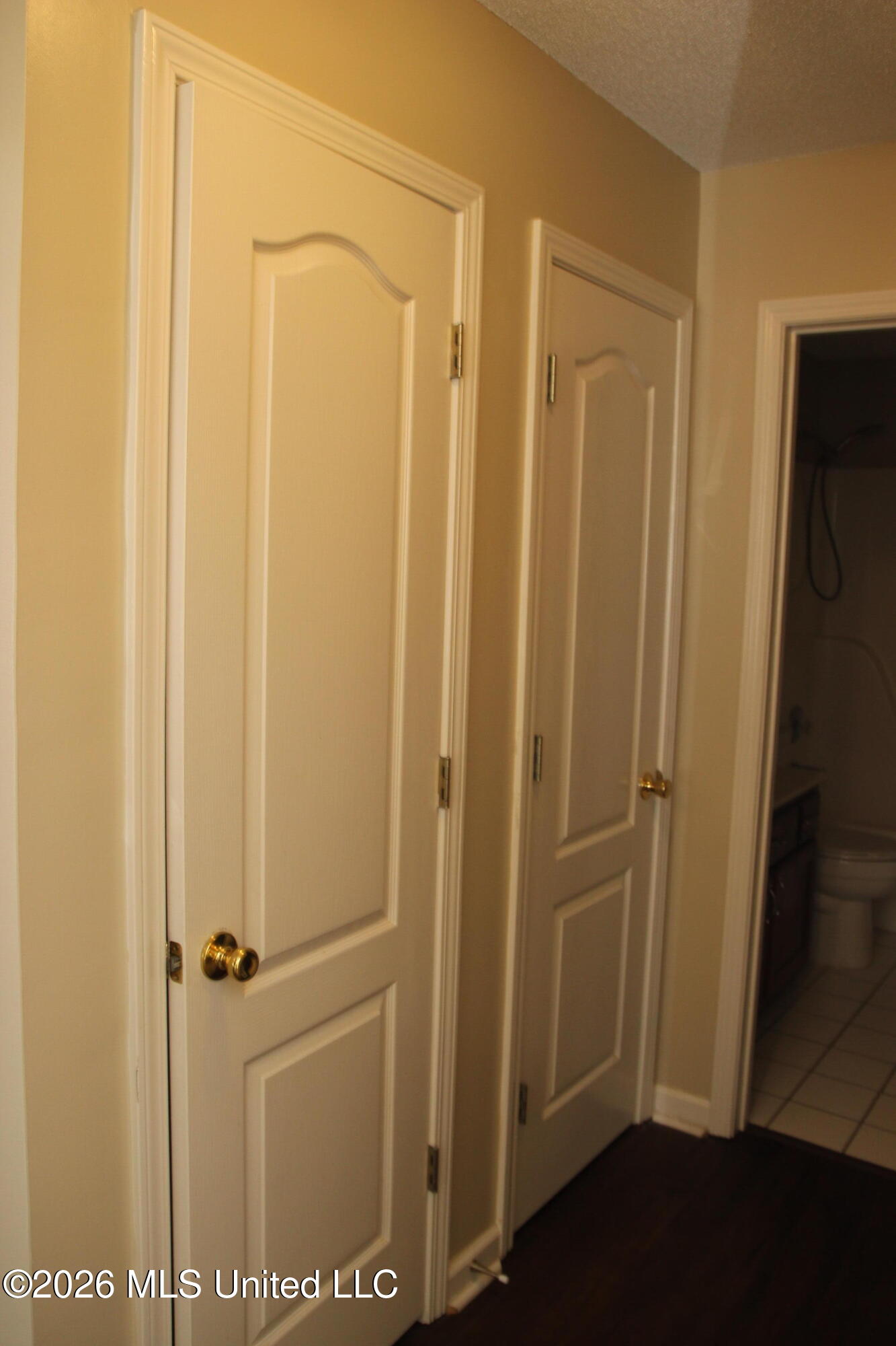 910 Scotch Pine Cove Property Photo 28