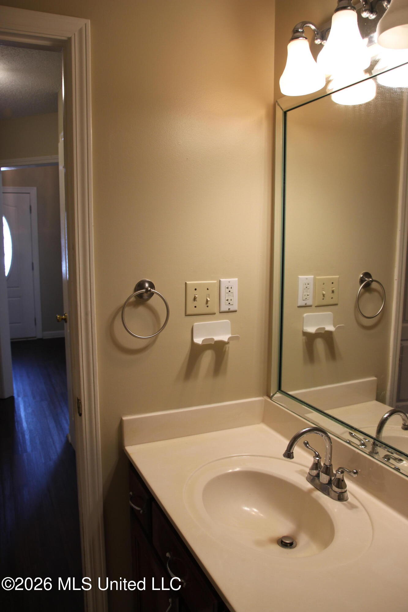 910 Scotch Pine Cove Property Photo 29