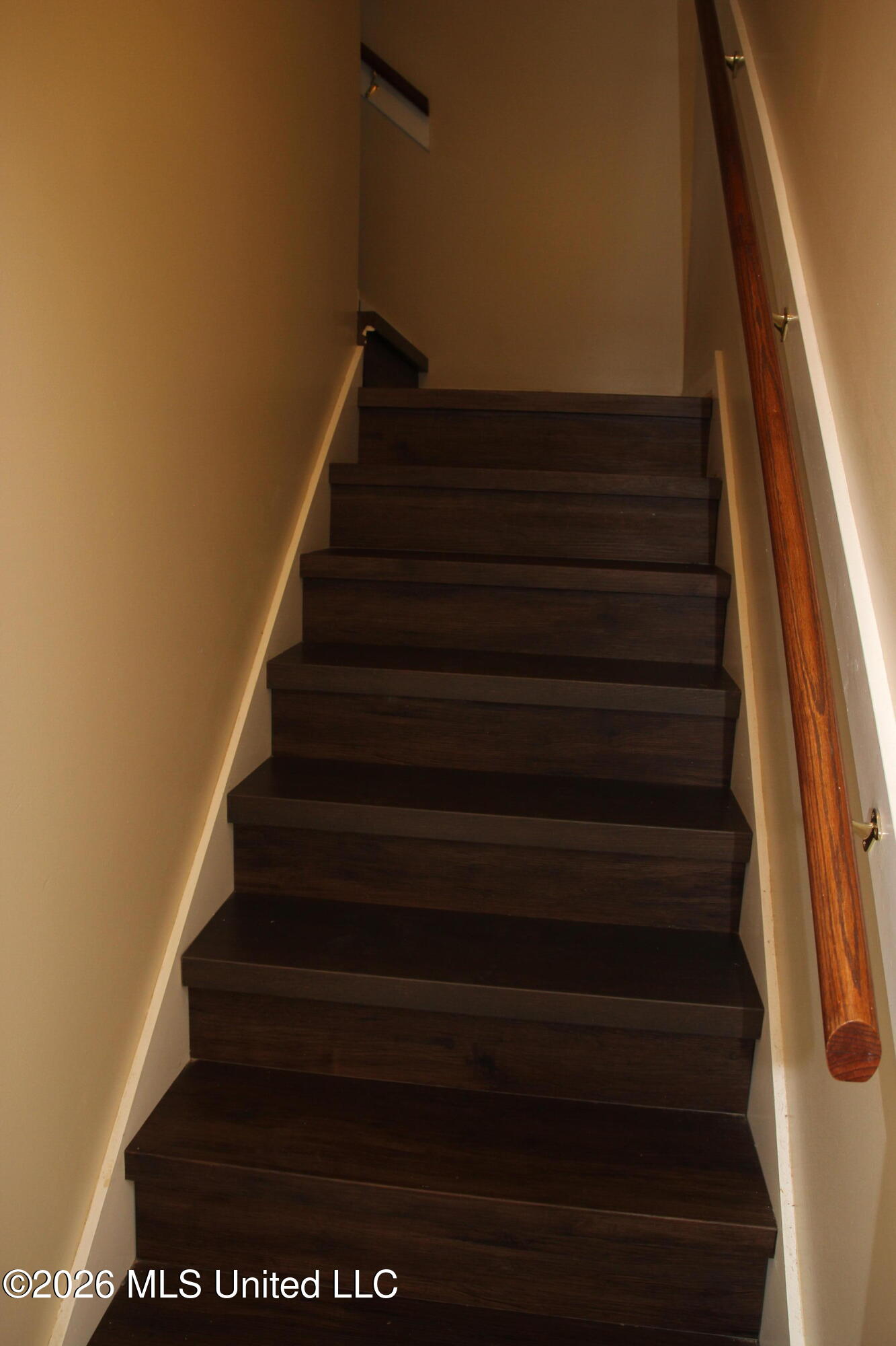 910 Scotch Pine Cove Property Photo 36