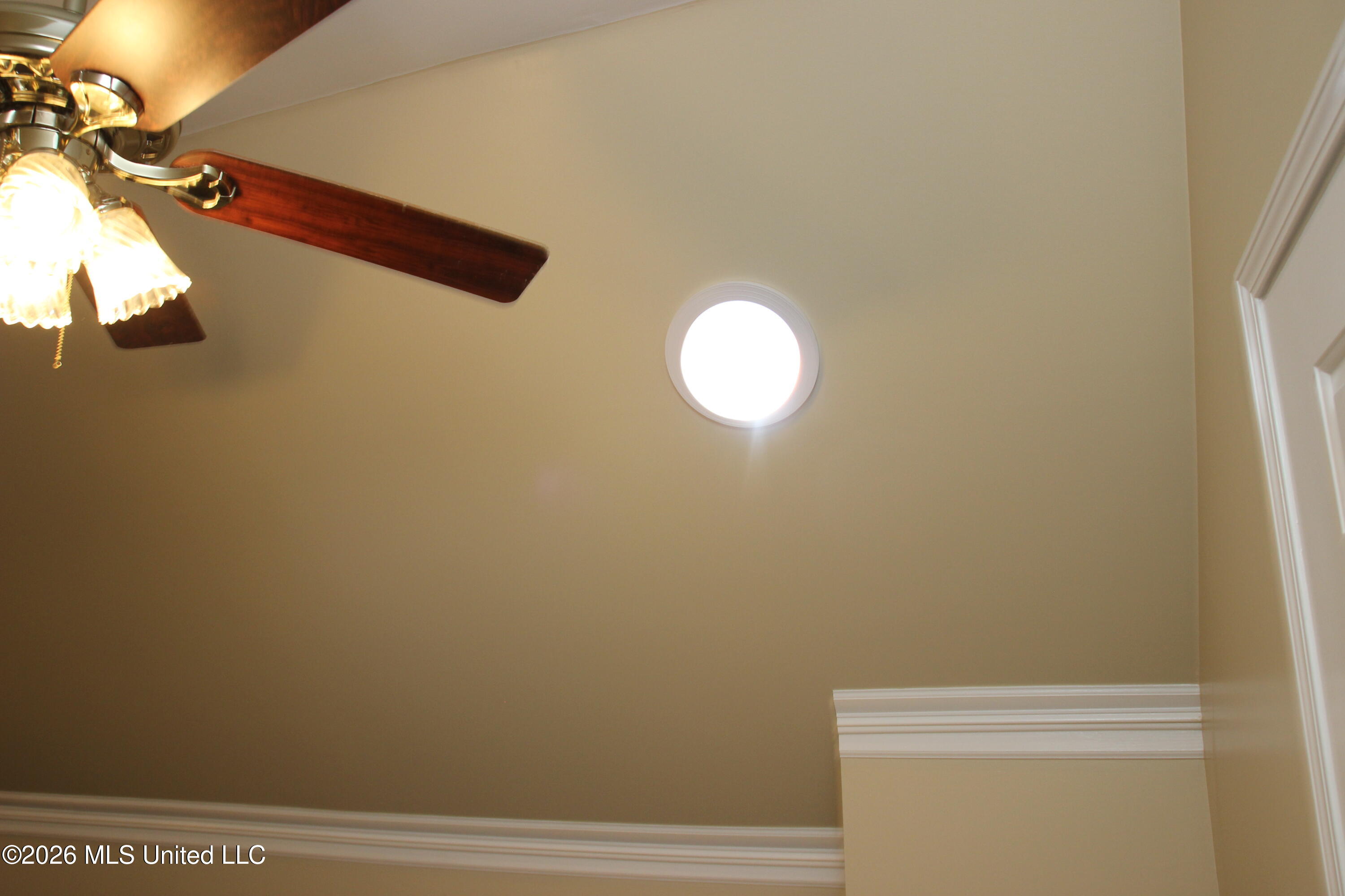 910 Scotch Pine Cove Property Photo 41