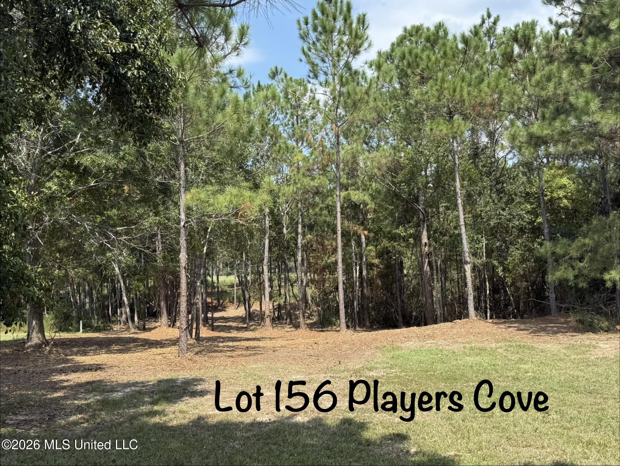 Players Cove Property Photo 1