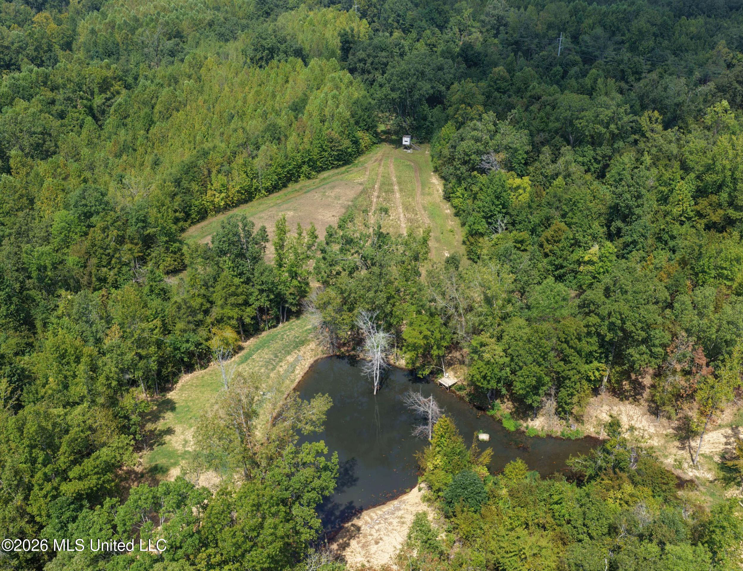 1765 Chapel Town Road Property Photo 14