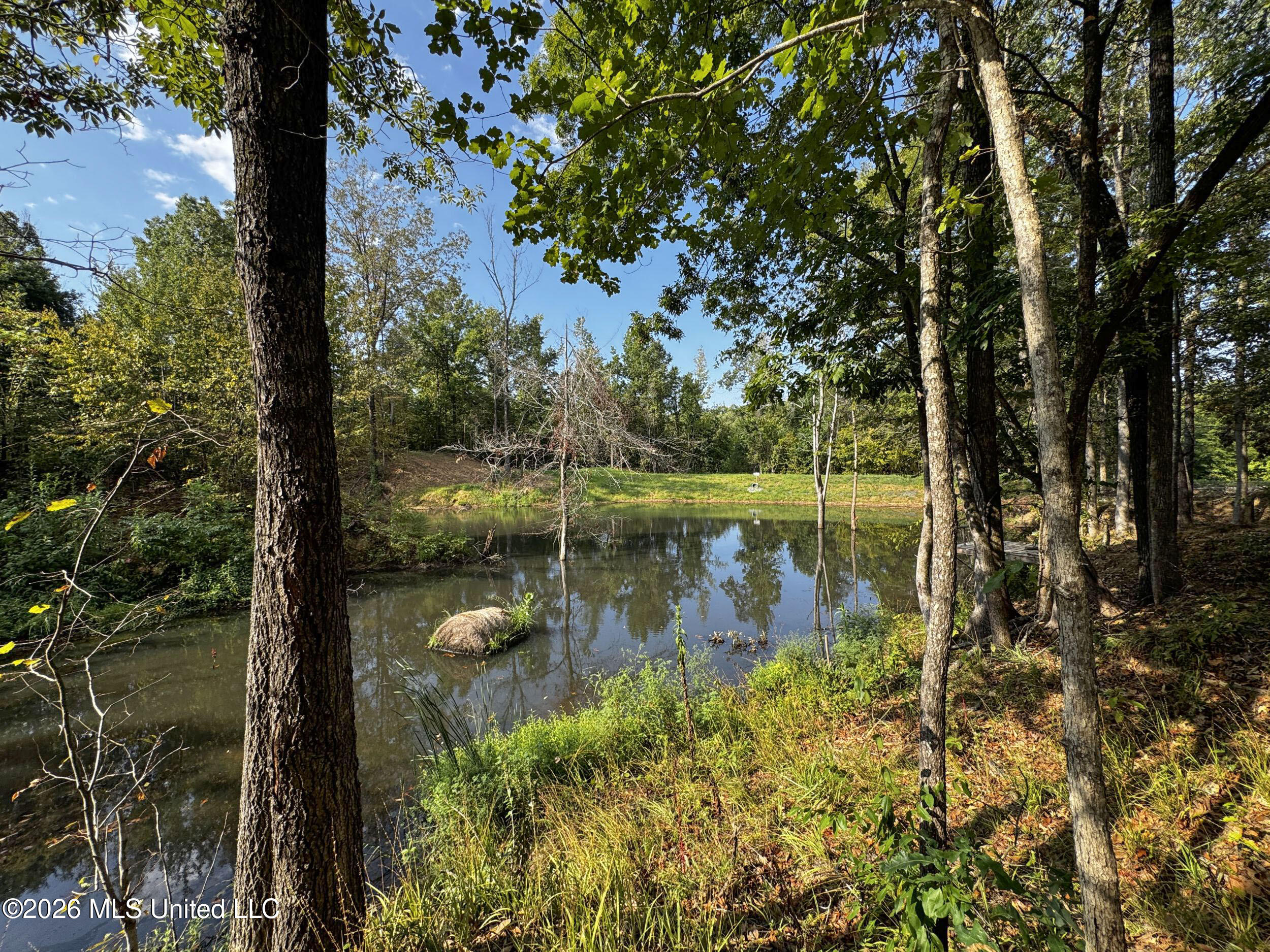 1765 Chapel Town Road Property Photo 100