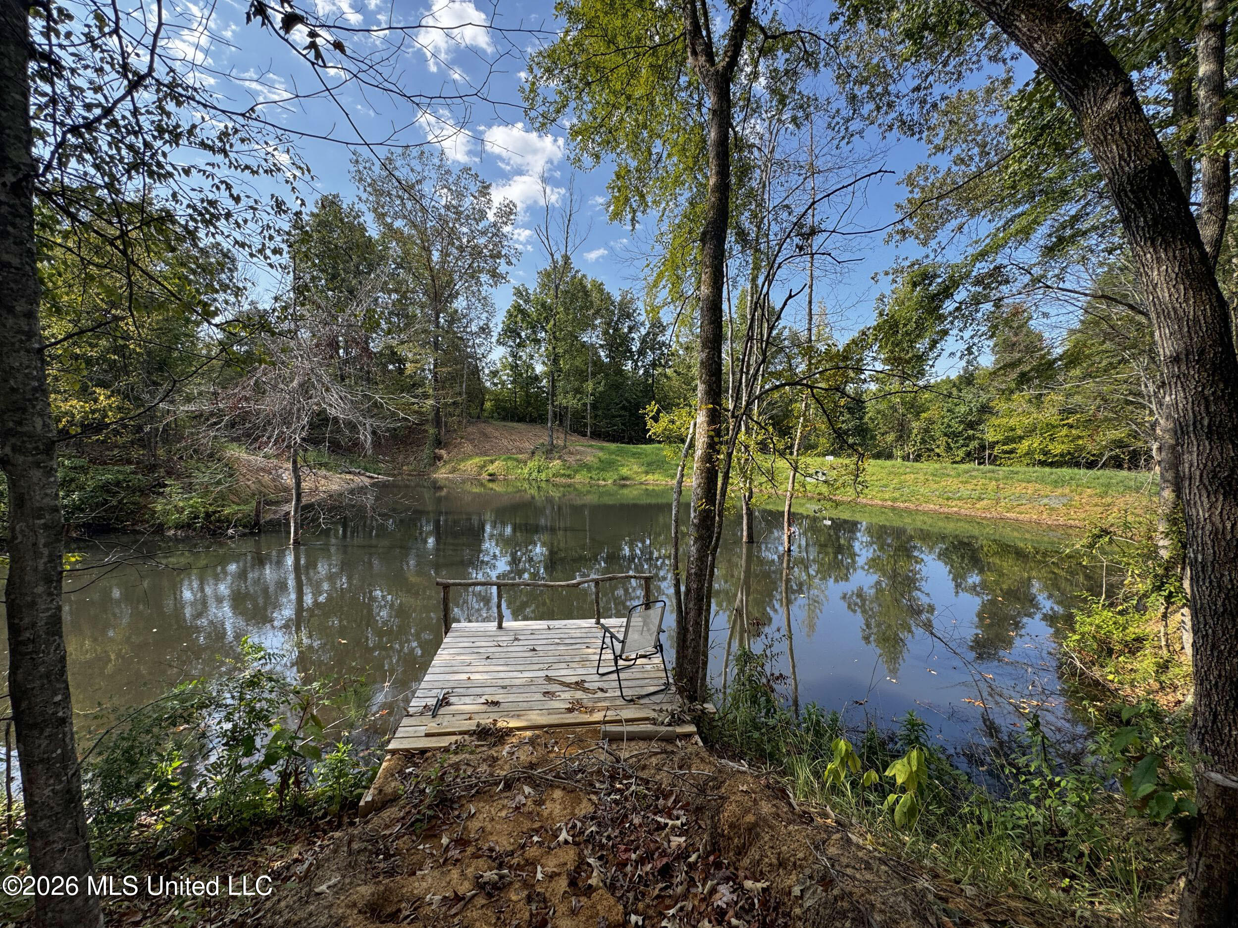 1765 Chapel Town Road Property Photo 101
