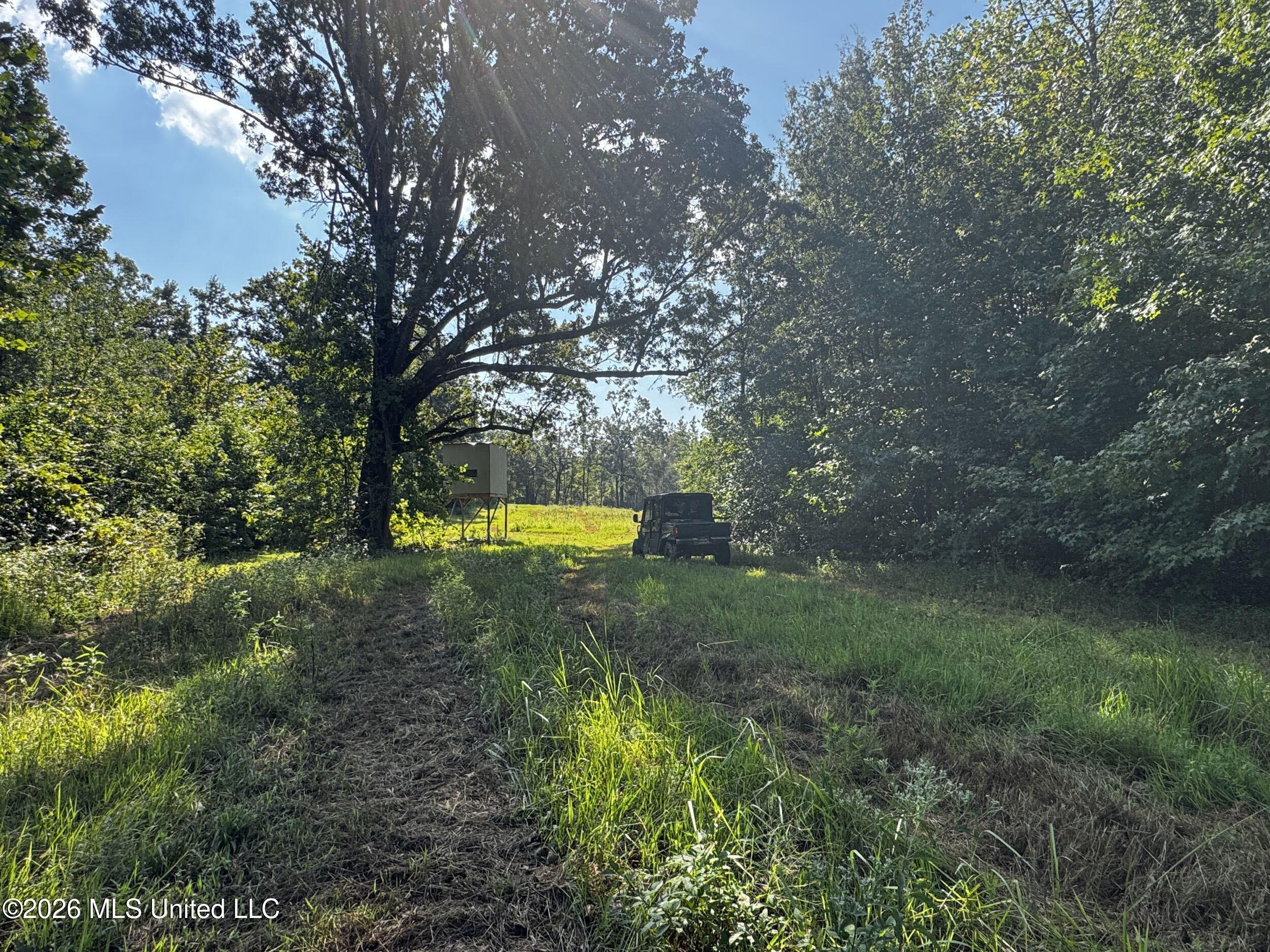 1765 Chapel Town Road Property Photo 122