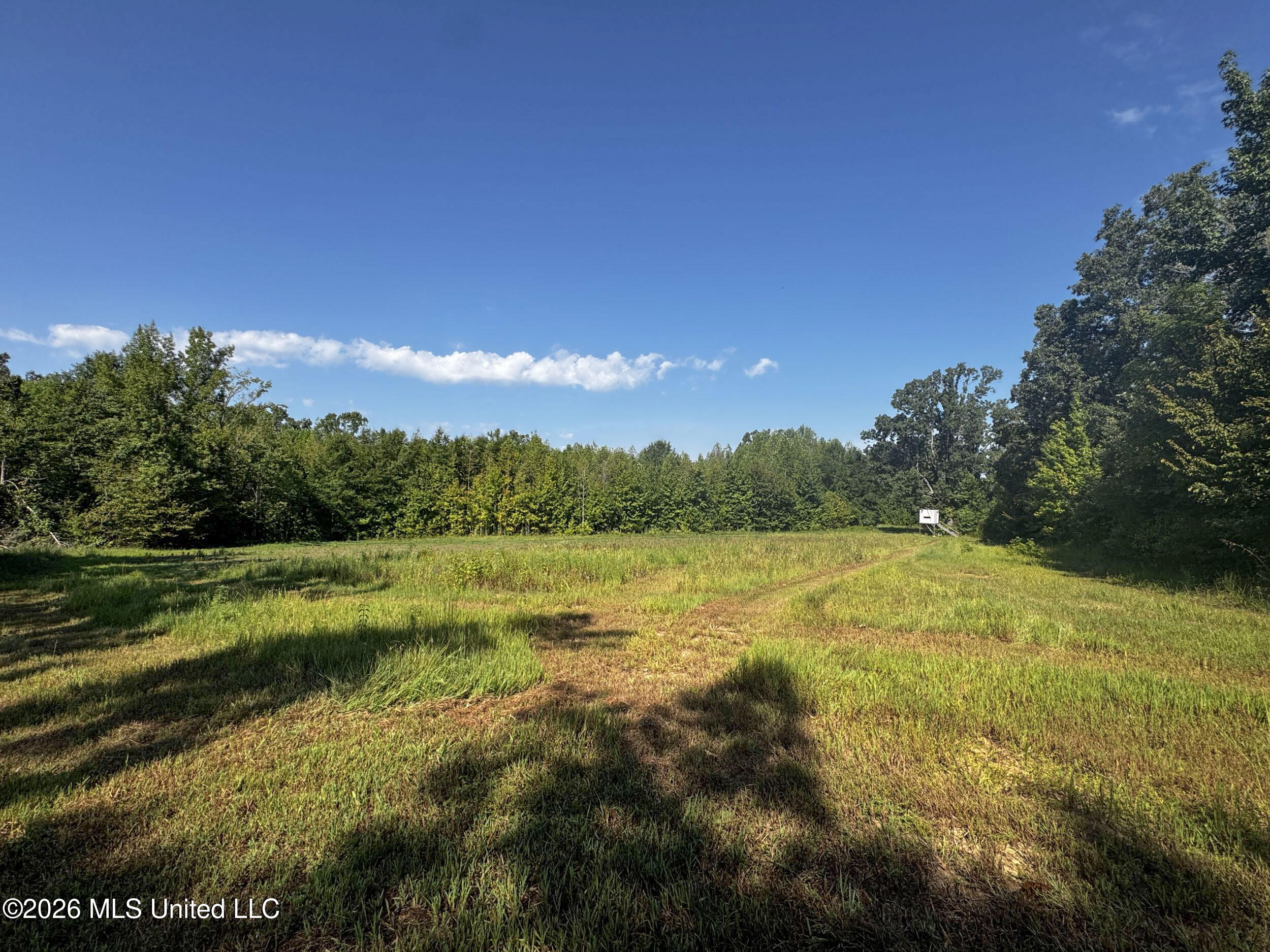 1765 Chapel Town Road Property Photo 123