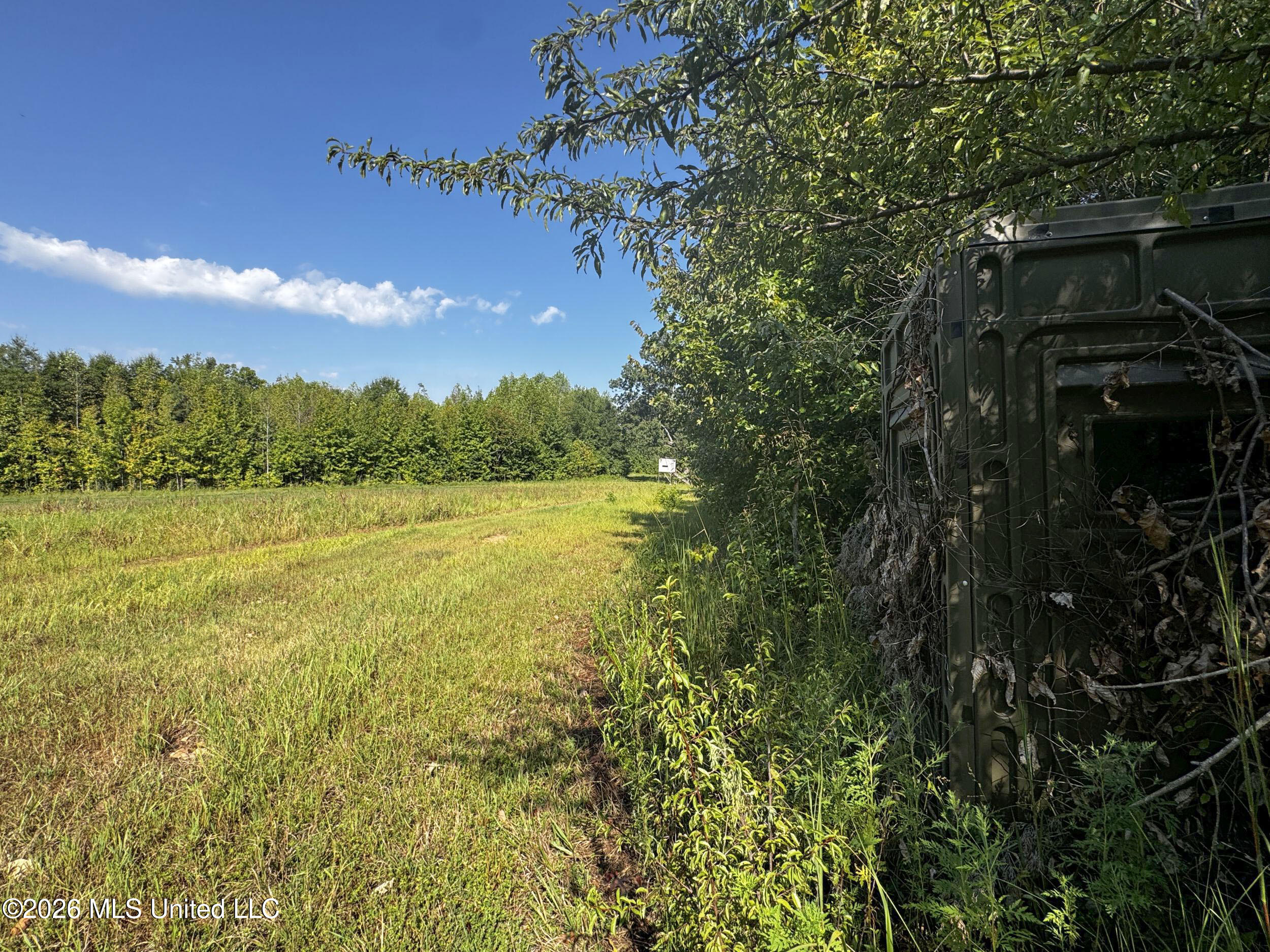 1765 Chapel Town Road Property Photo 124