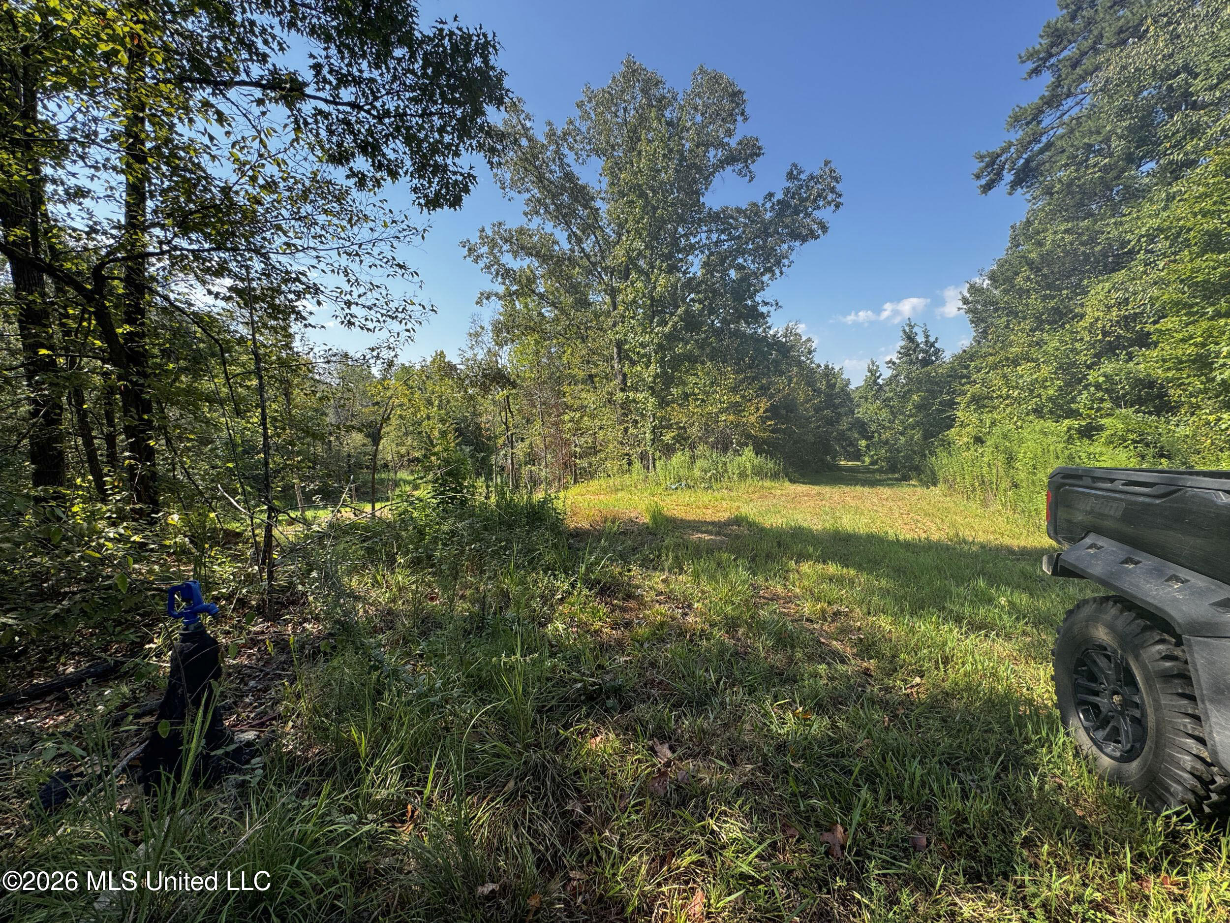 1765 Chapel Town Road Property Photo 127