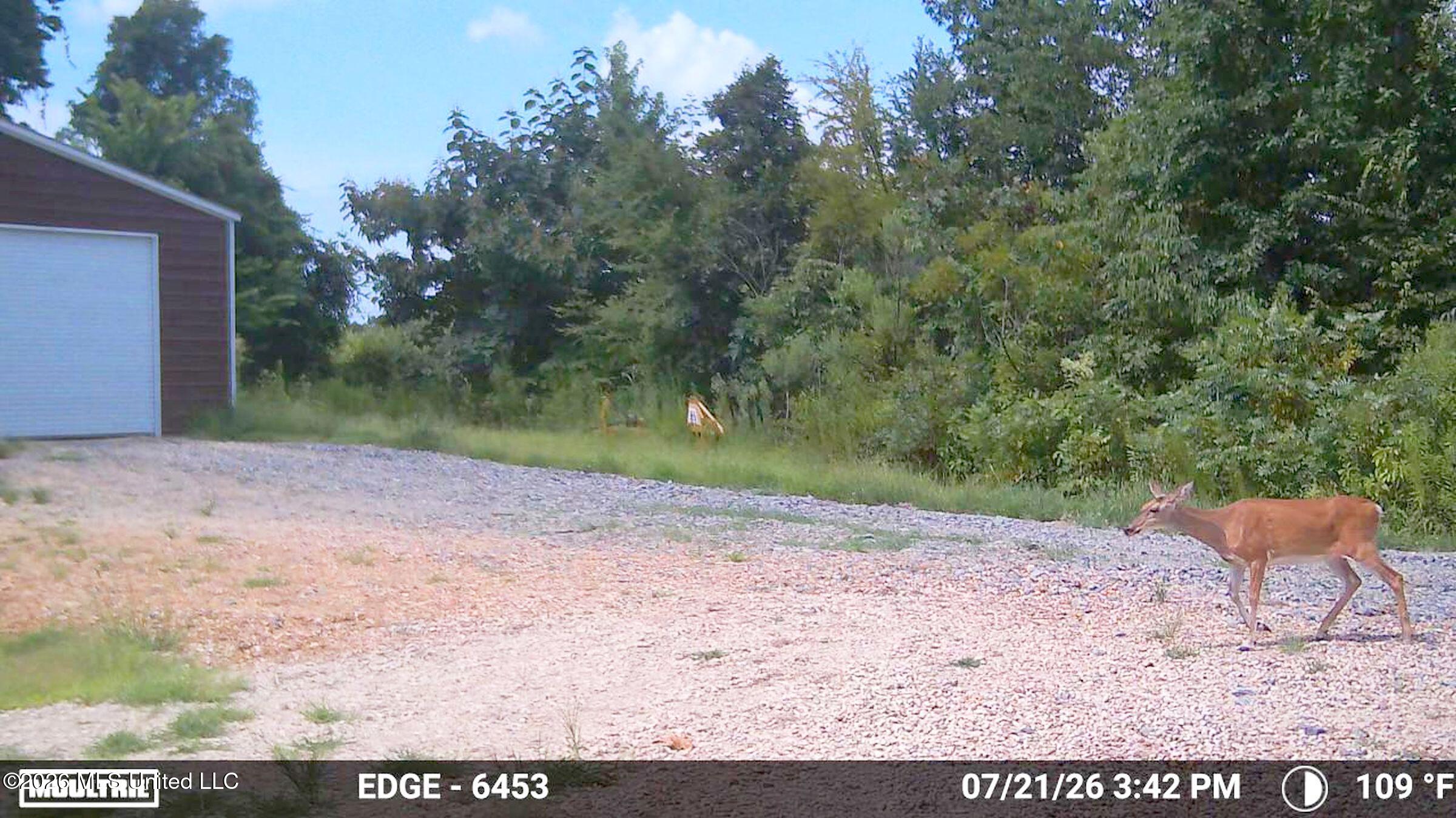 1765 Chapel Town Road Property Photo 133