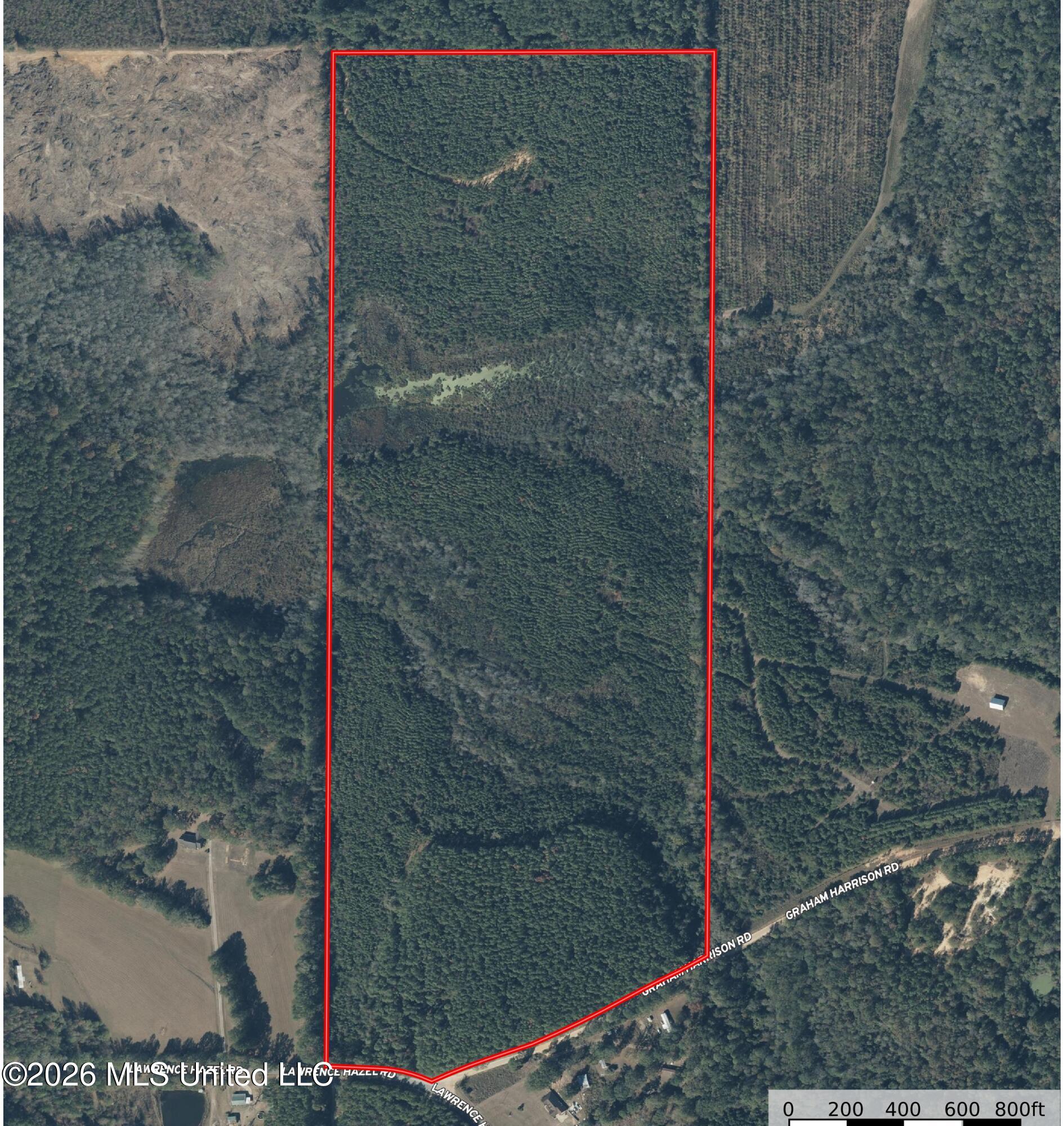 Lawrence Hazel Road Property Photo 10