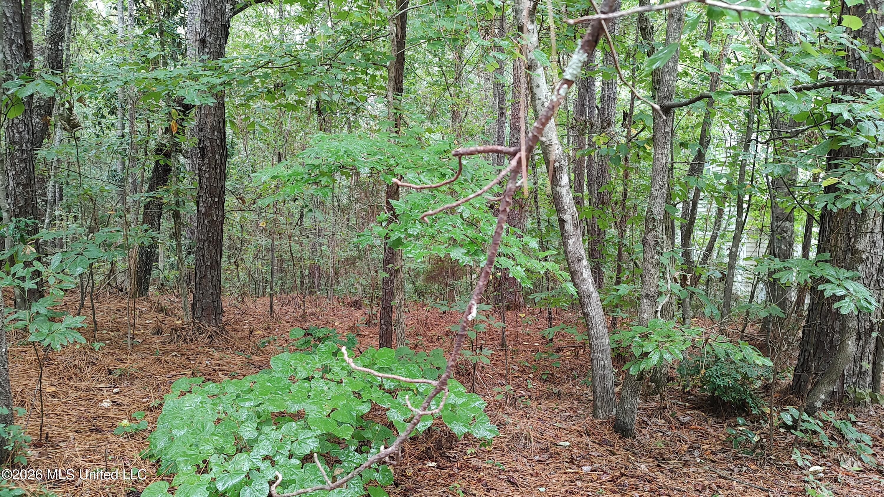 5 Stoneridge N Property Photo 3