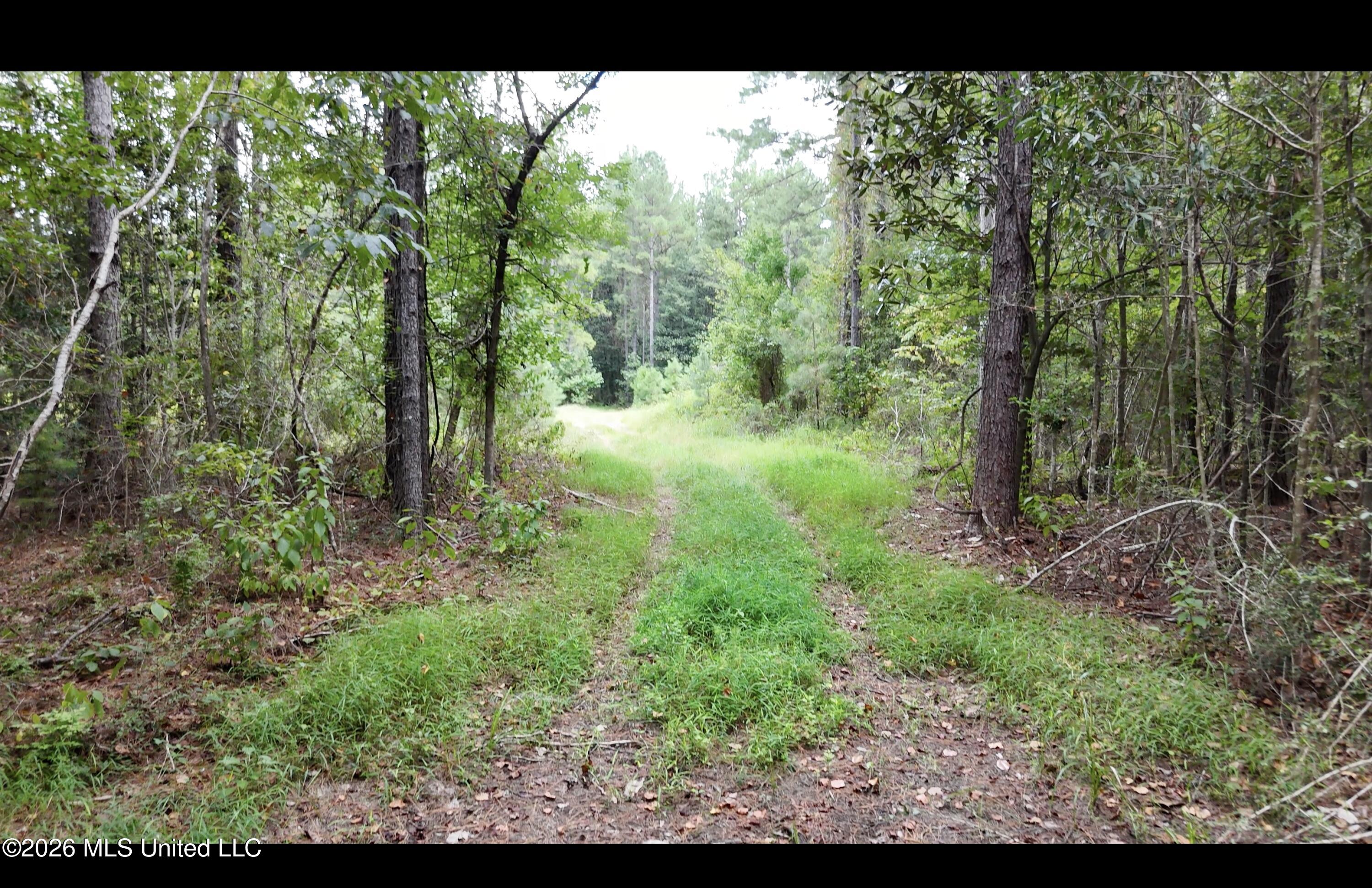 Frank Murphy Road Property Photo 1