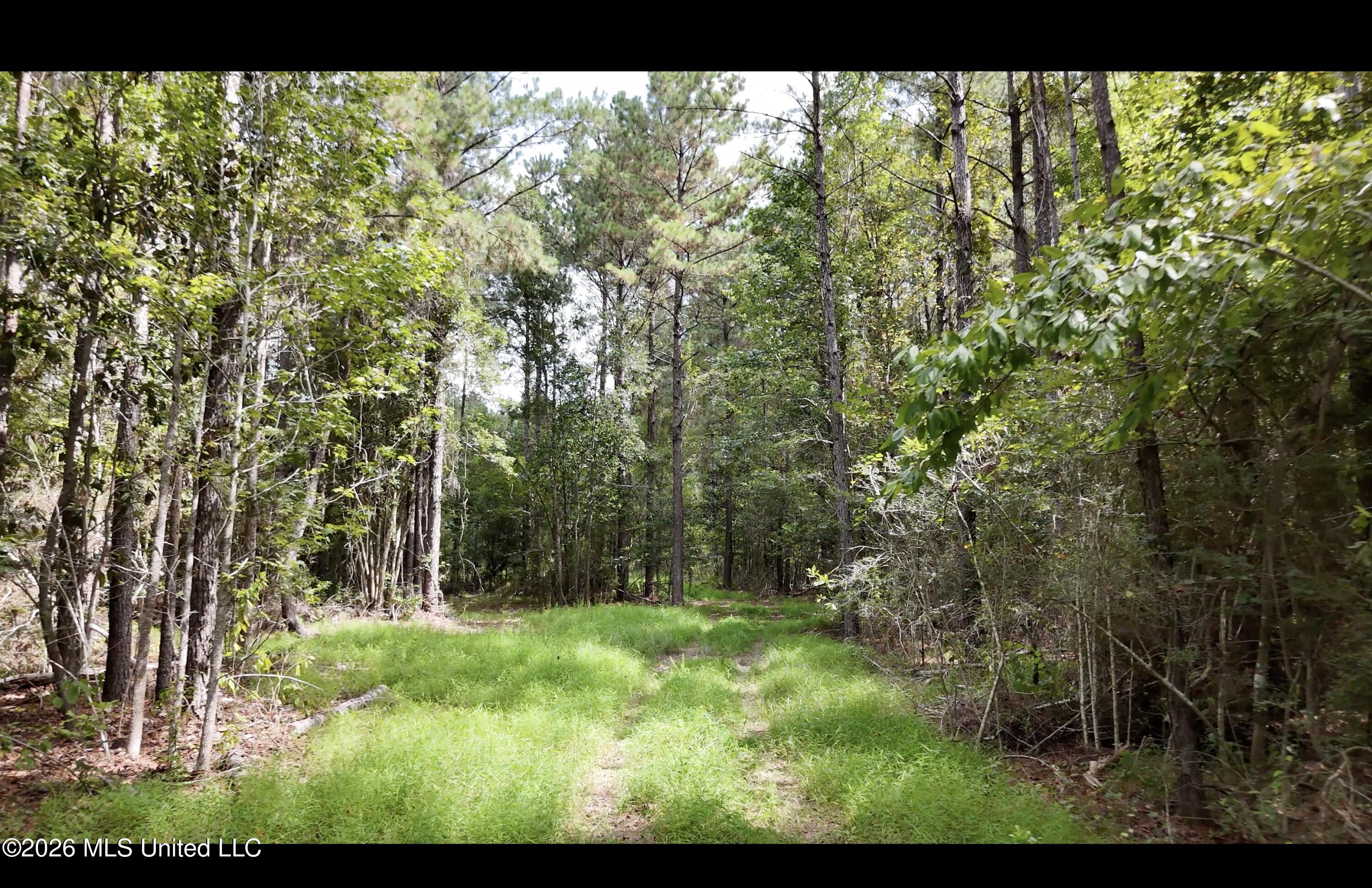 Frank Murphy Road Property Photo 2