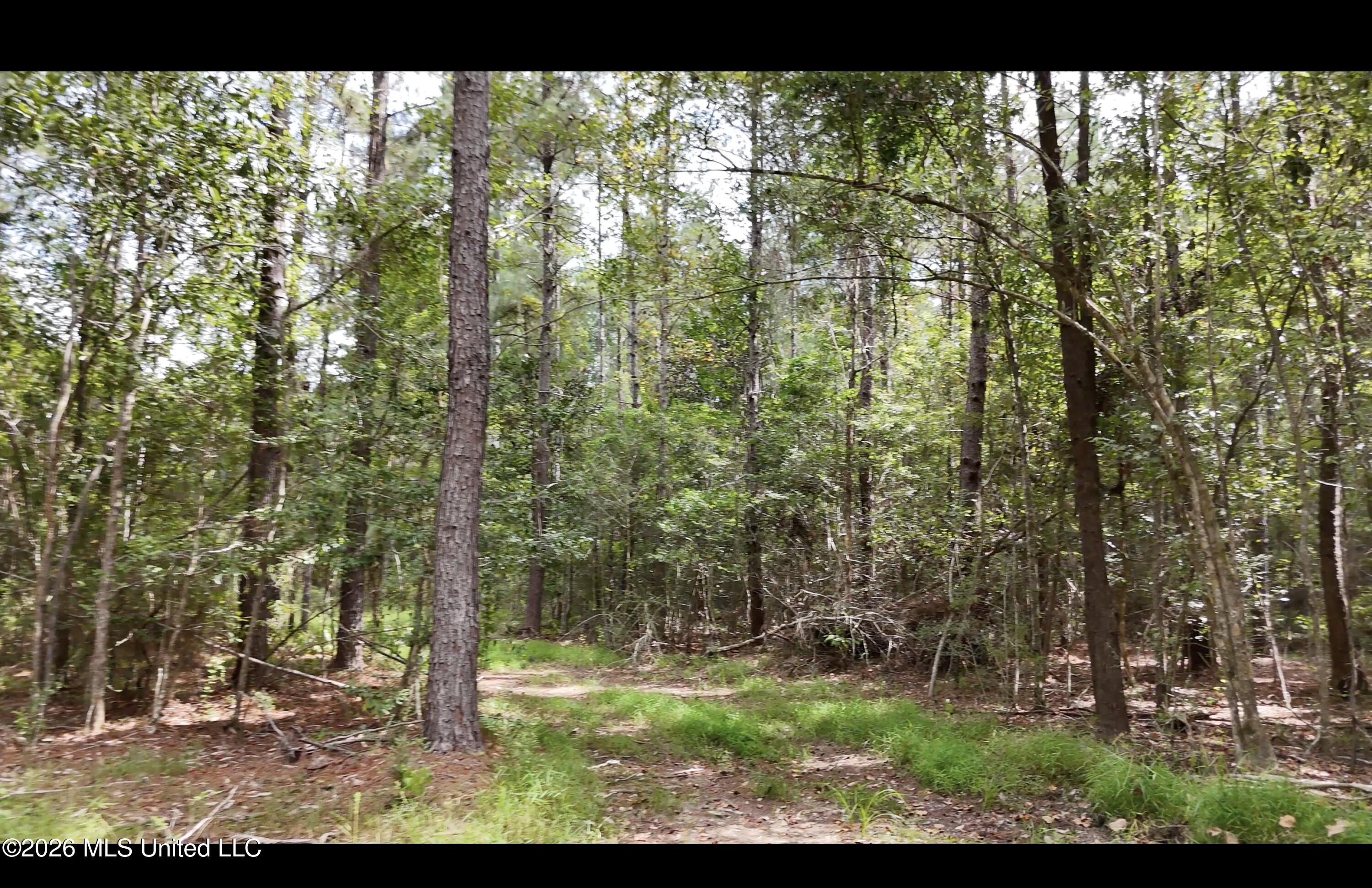 Frank Murphy Road Property Photo 3