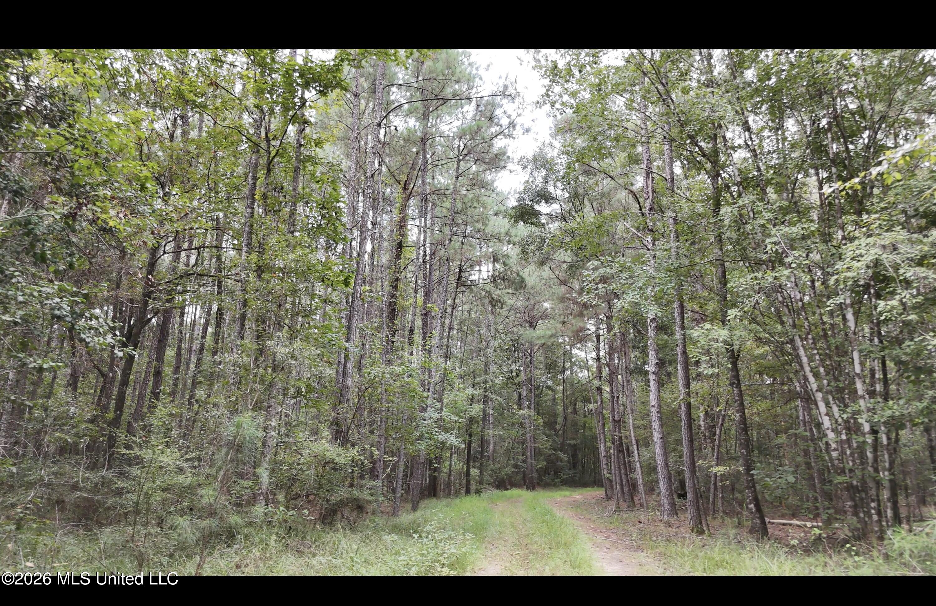 Frank Murphy Road Property Photo 5