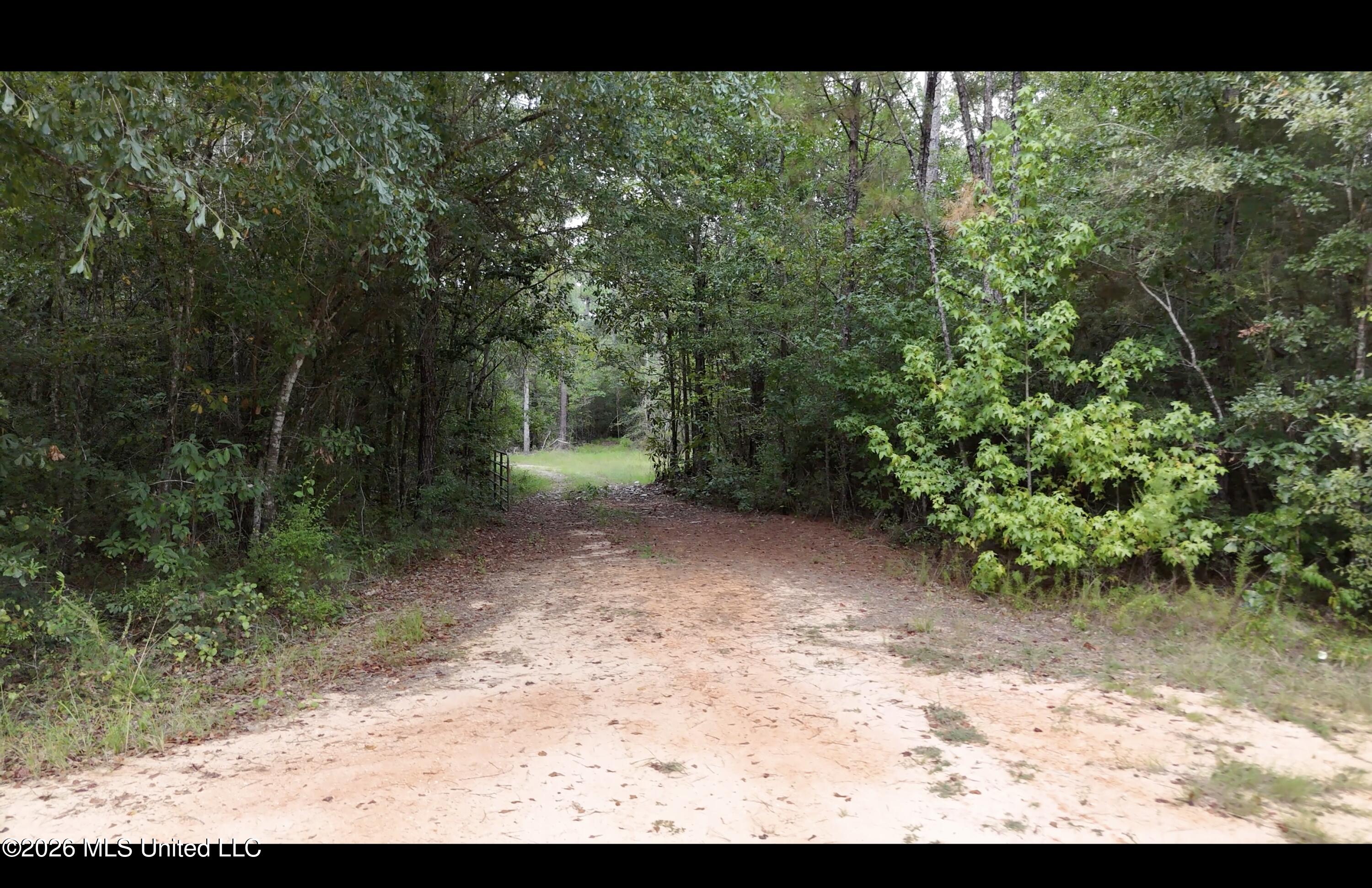 Frank Murphy Road Property Photo 6