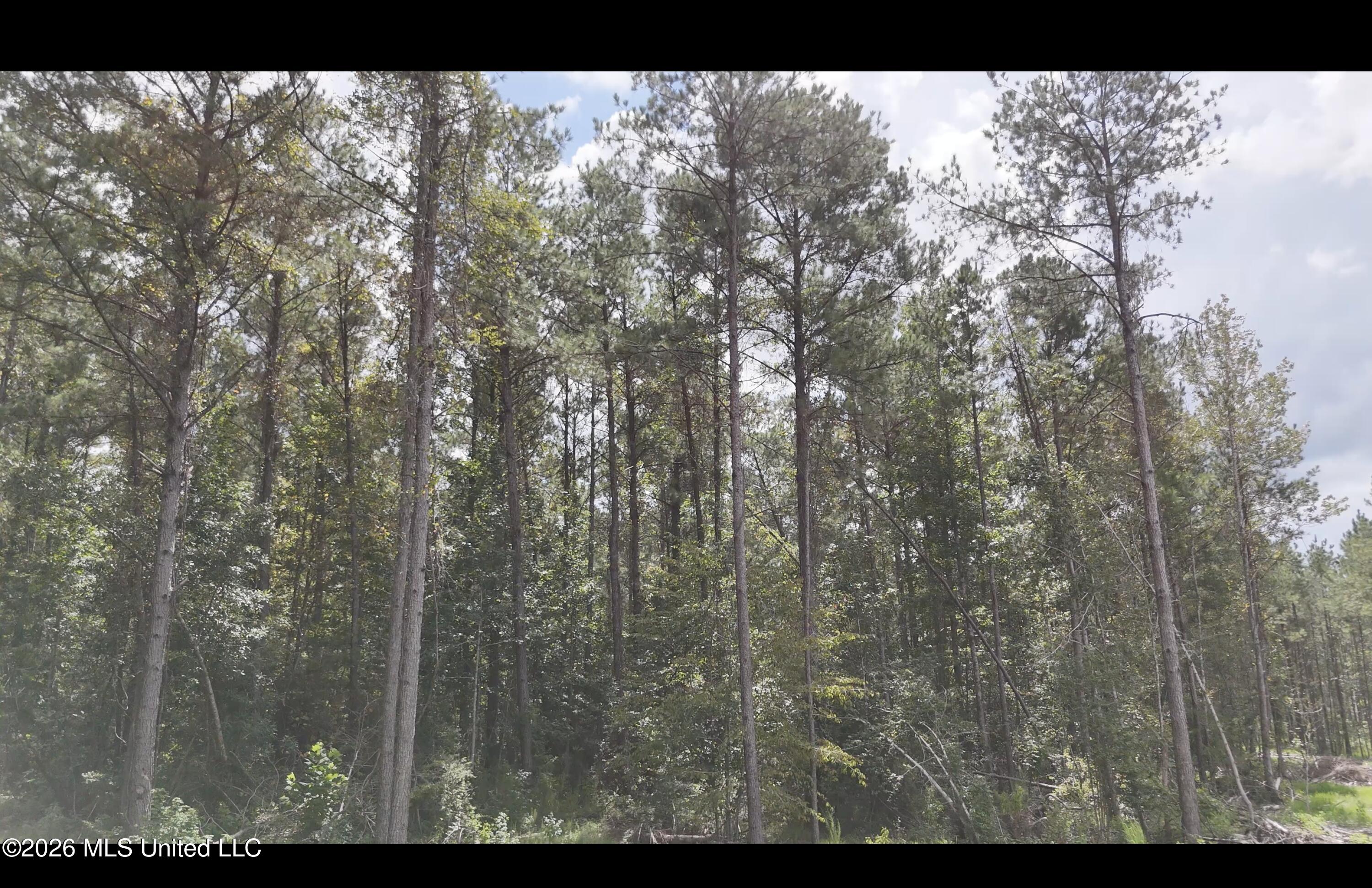 Frank Murphy Road Property Photo 12