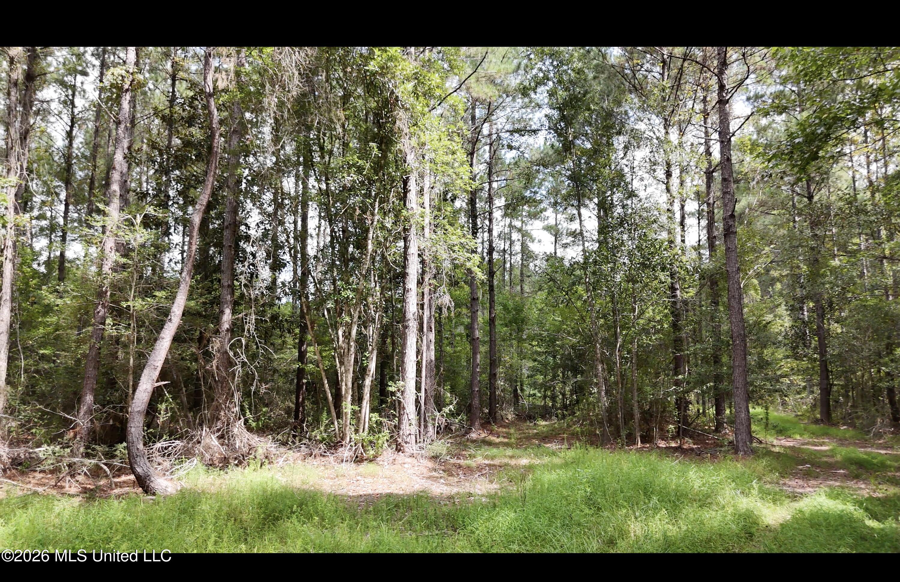 Frank Murphy Road Property Photo 14