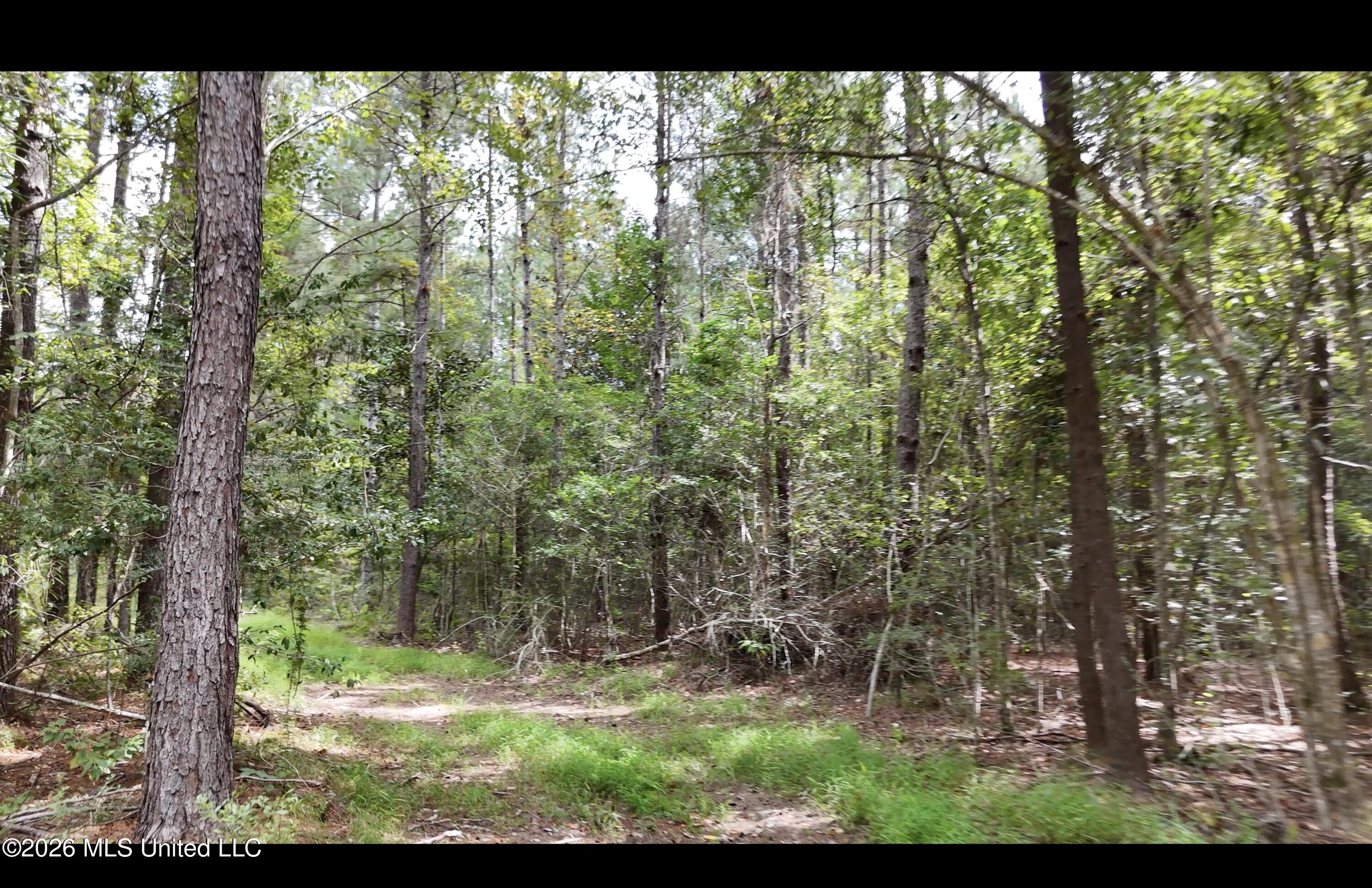 Frank Murphy Road Property Photo 15