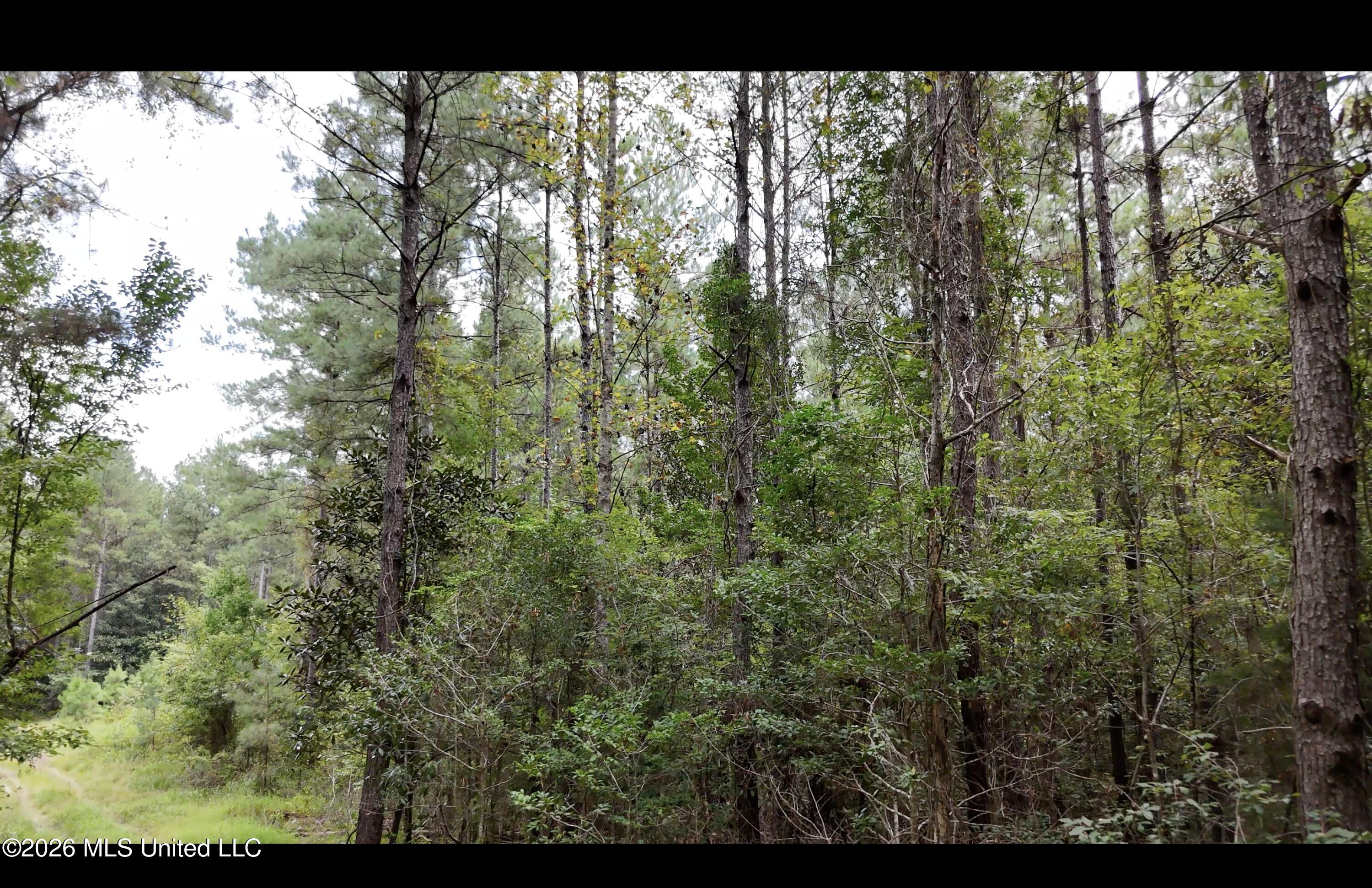 Frank Murphy Road Property Photo 16